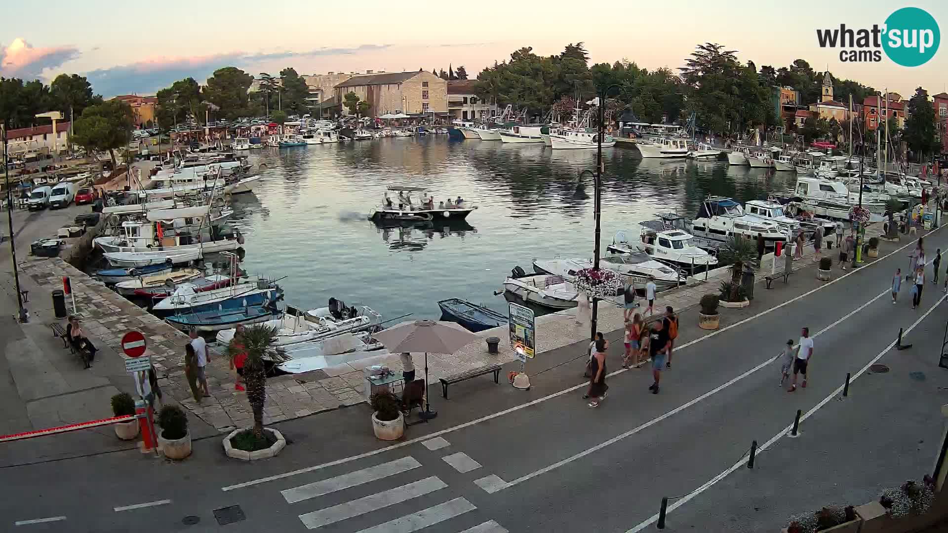 Novigrad kamera Mandrač – Istra