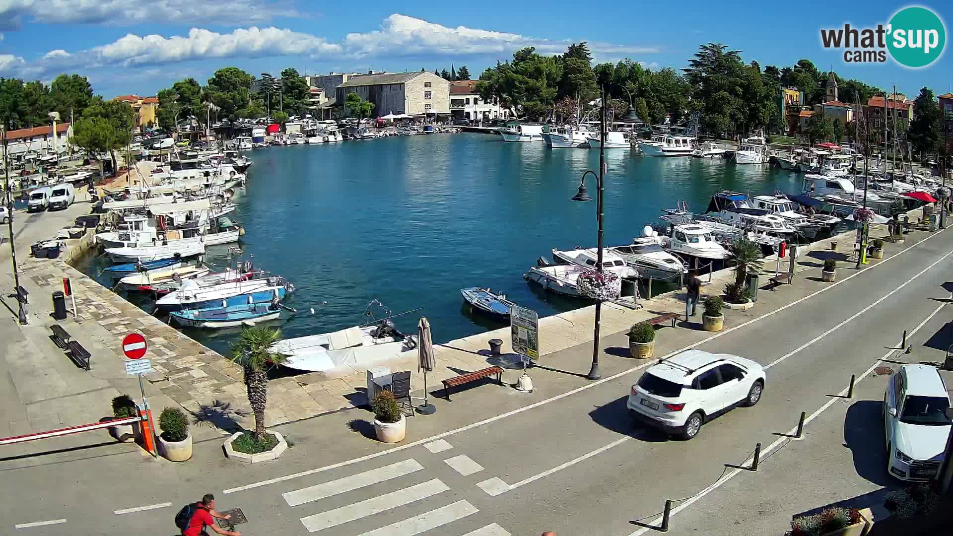 Novigrad webcam Mandrač | Cittanova in Istria – Porto vecchio
