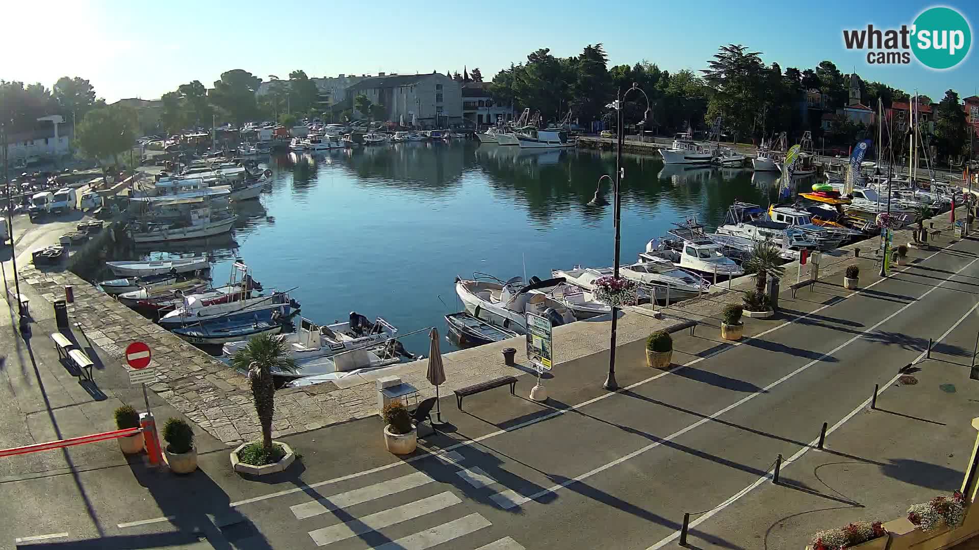 Novigrad webcam Mandrač | Cittanova in Istria – Porto vecchio