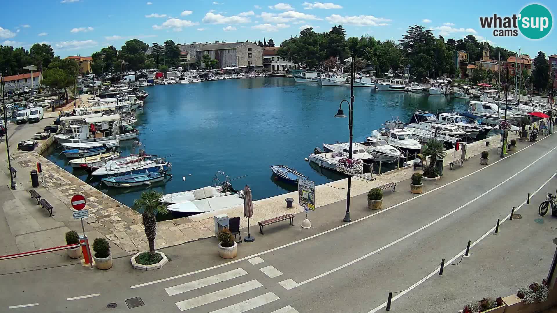 Novigrad kamera Mandrač – Istra