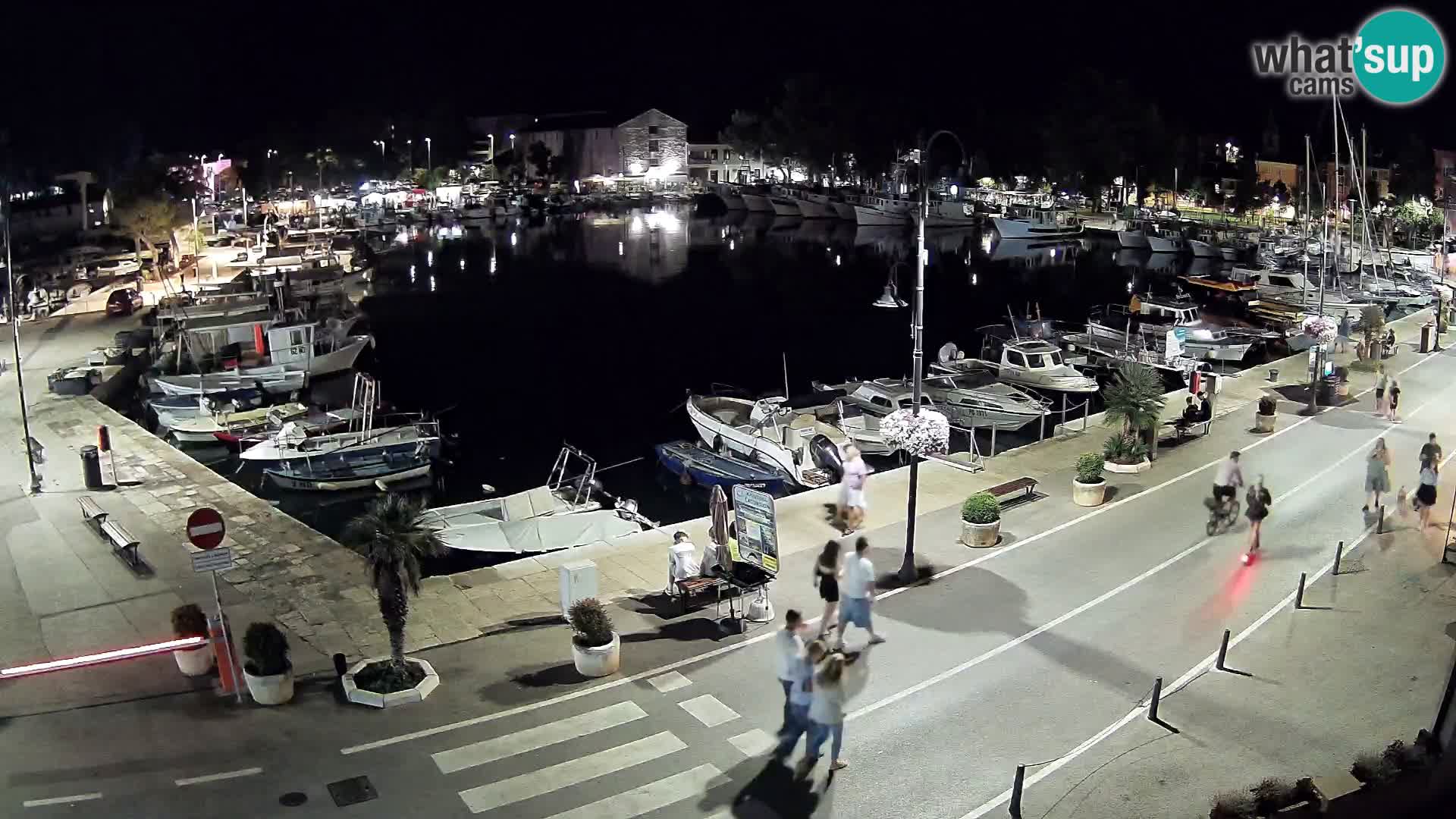 Novigrad kamera Mandrač – Istra