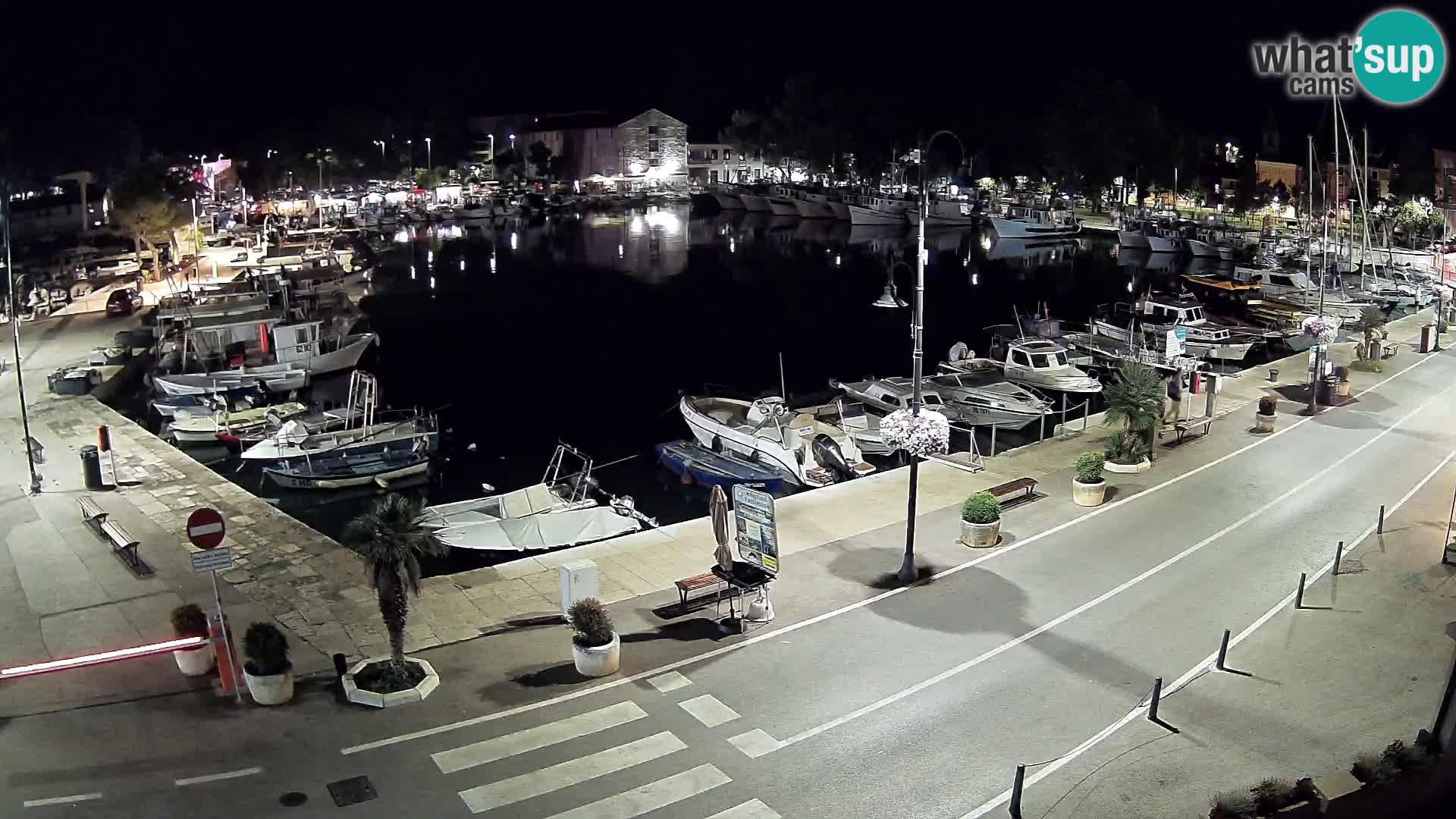 Novigrad webcam Mandrač | Cittanova in Istria – Porto vecchio