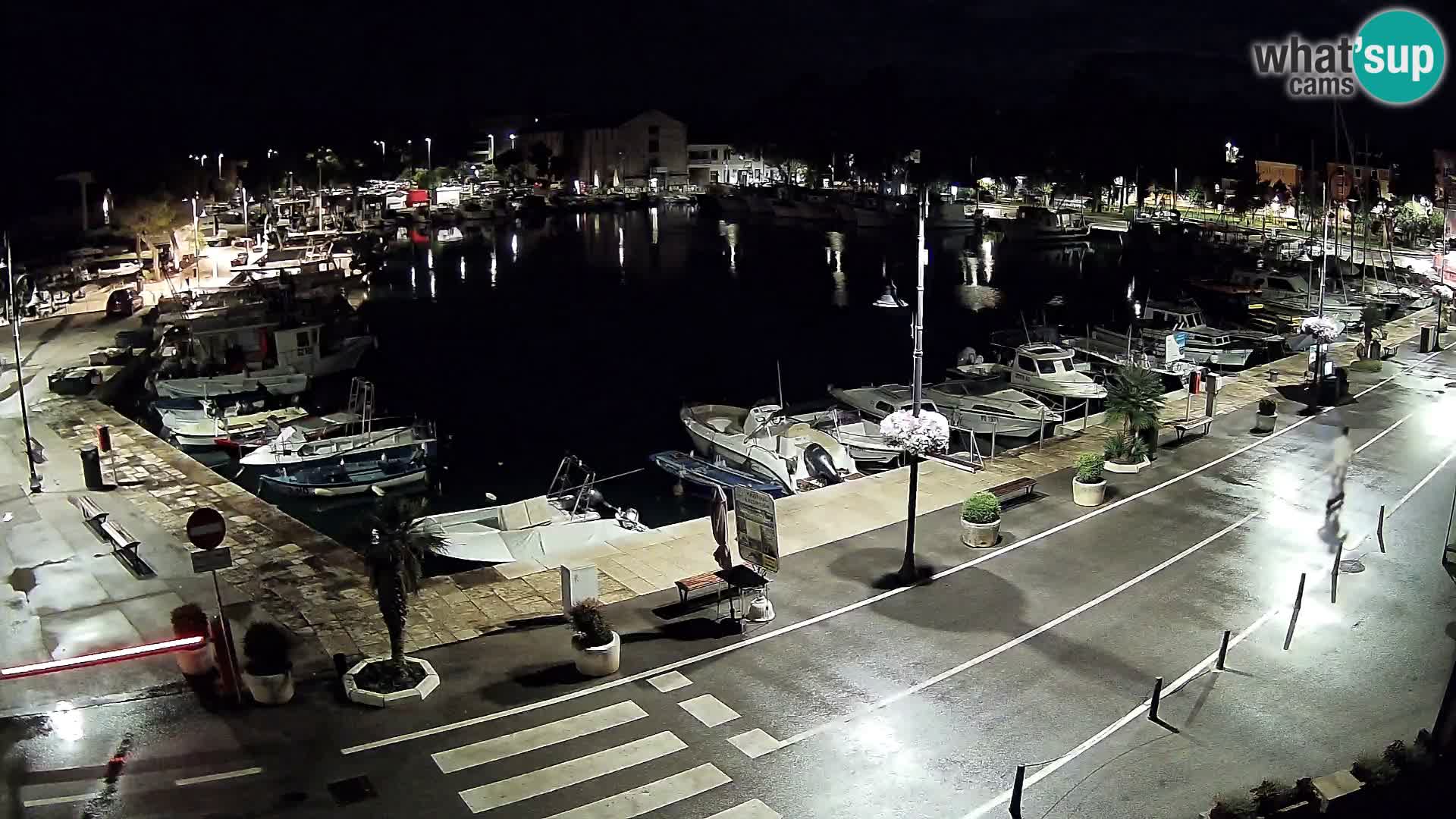 Novigrad – puerto viejo “Mandrač”