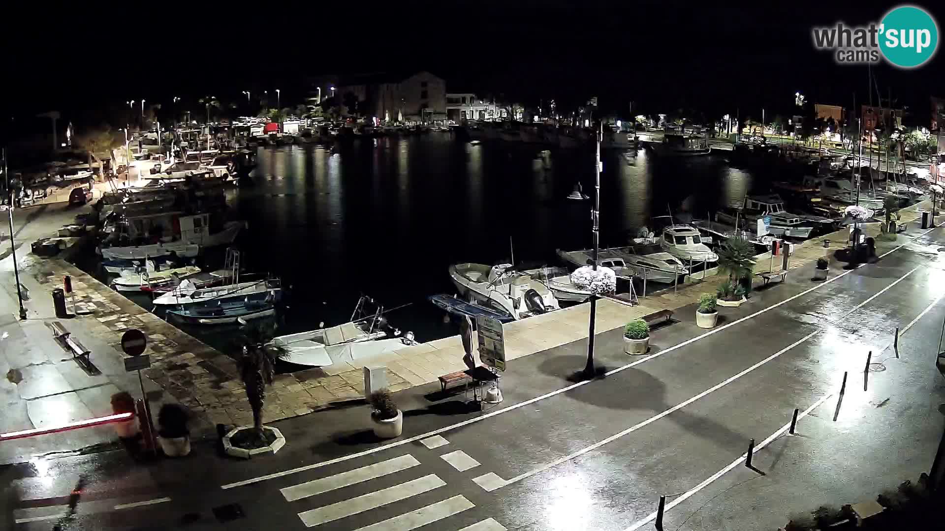 Novigrad –  Mandrač