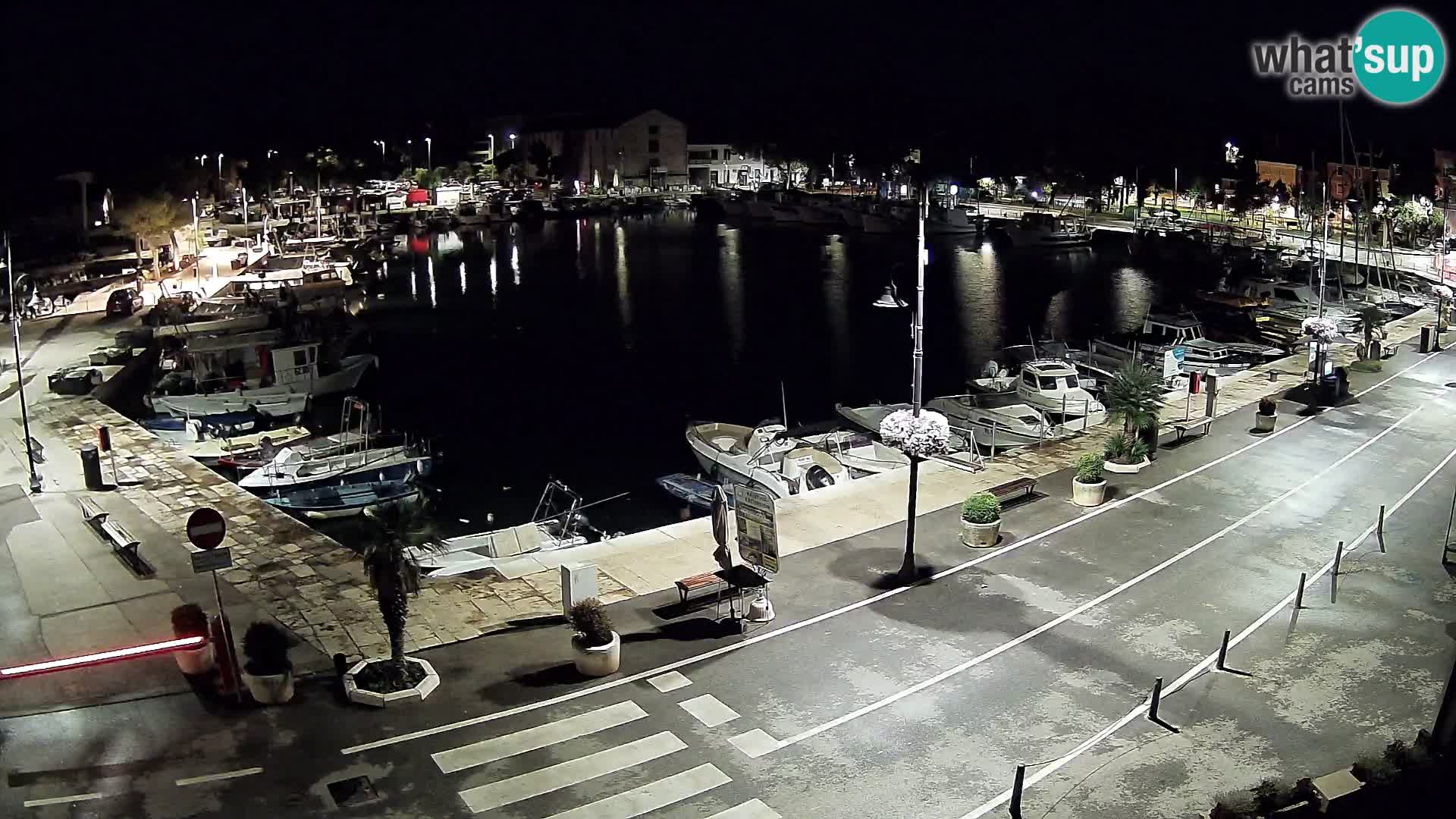 Novigrad webcam Mandrač | Cittanova in Istria – Porto vecchio