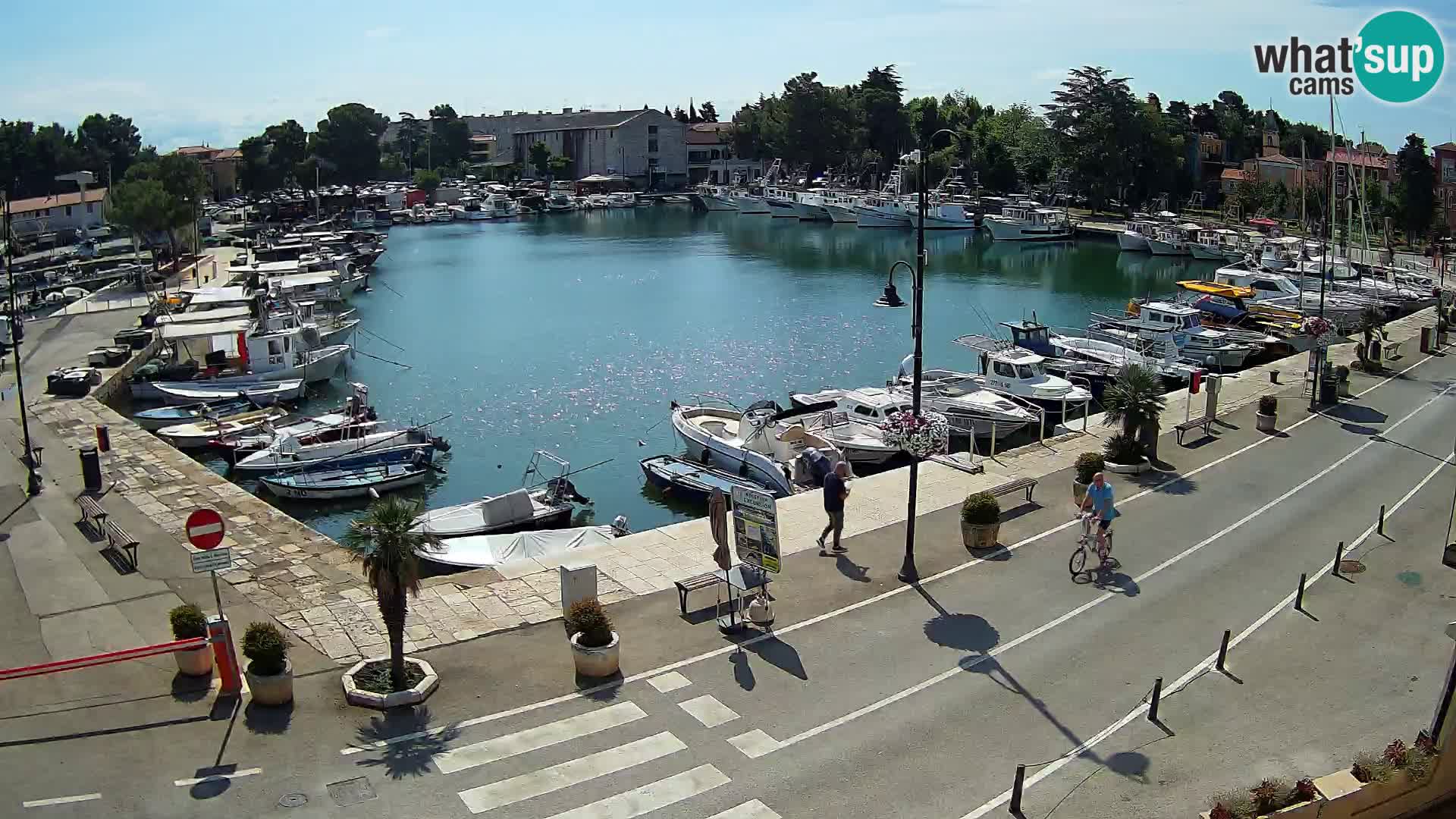 Novigrad – vieux port “Mandrač”