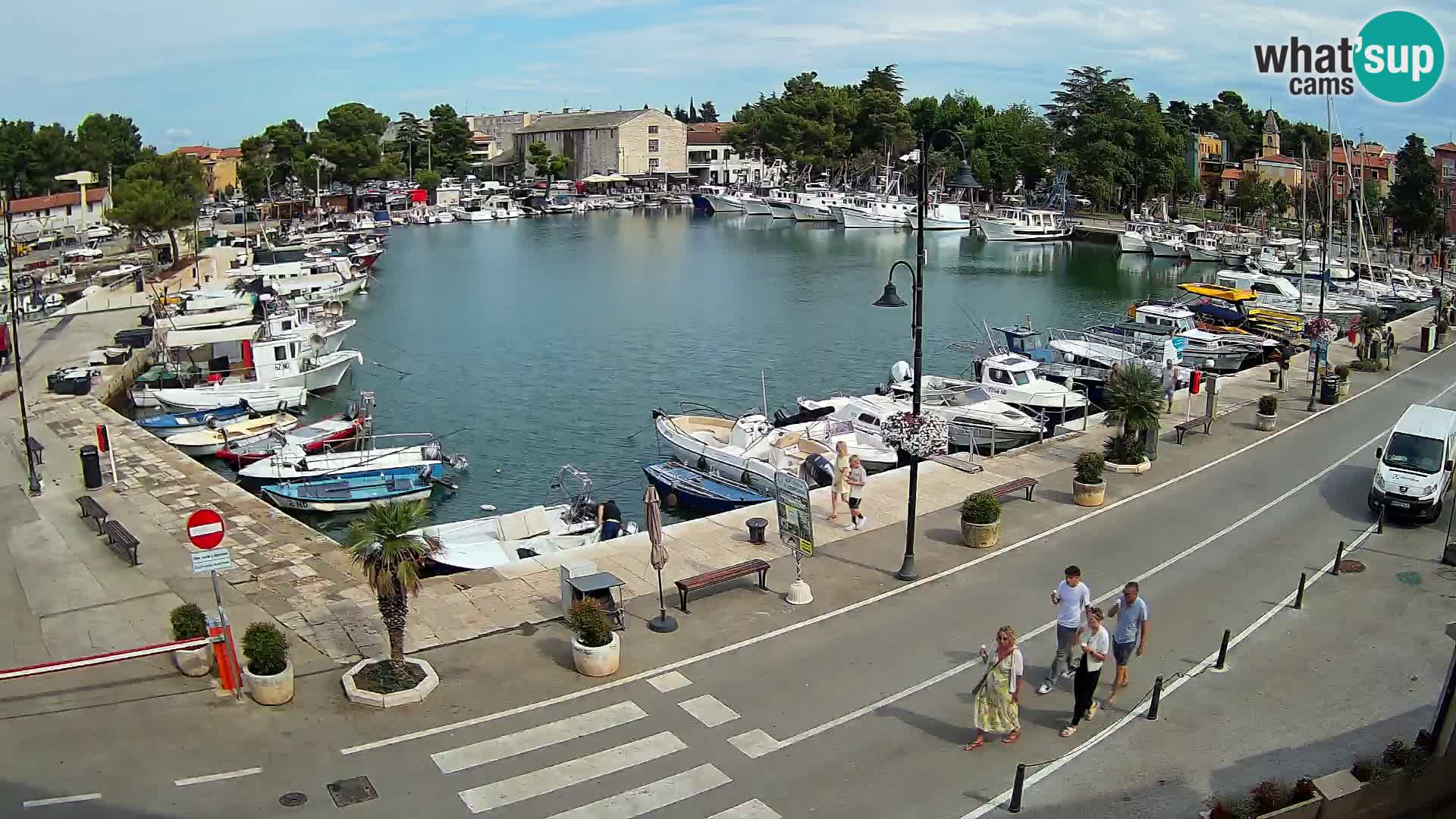 Novigrad webcam Mandrač | alten Hafen – Istrien