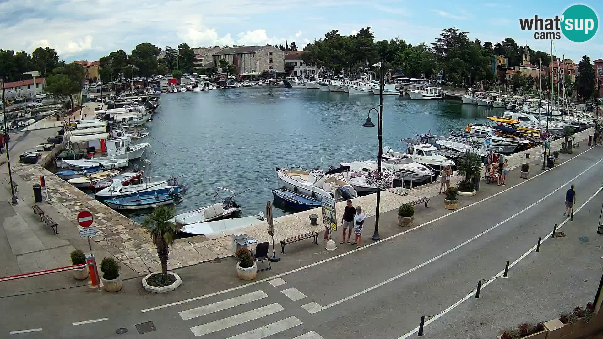 Novigrad webcam Mandrač | Cittanova in Istria – Porto vecchio