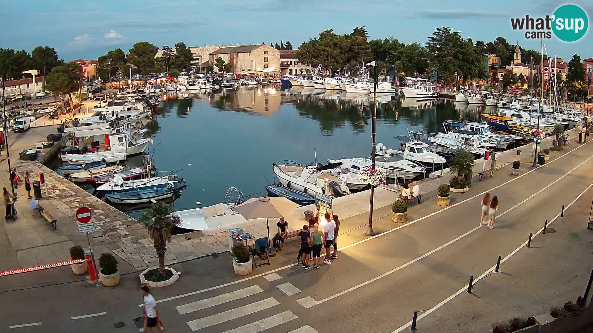 Novigrad webcam Mandrač | old marina – Istria