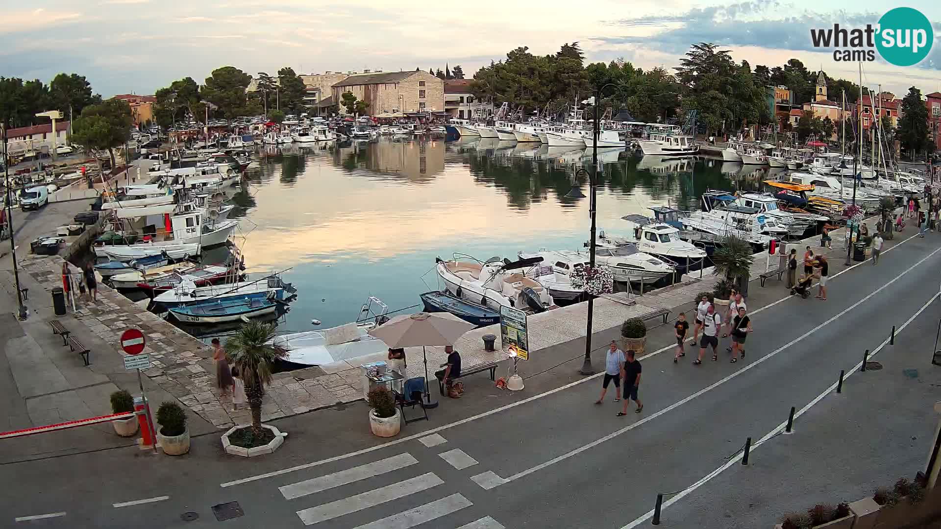 Novigrad kamera Mandrač – Istra
