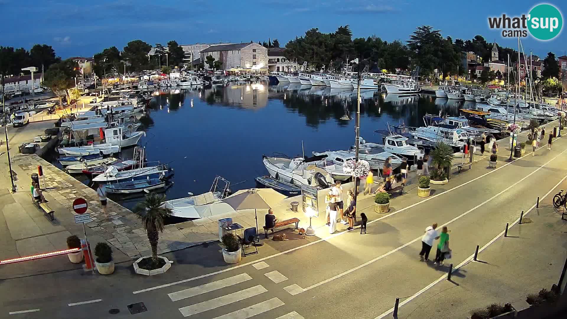 Novigrad kamera Mandrač – Istra