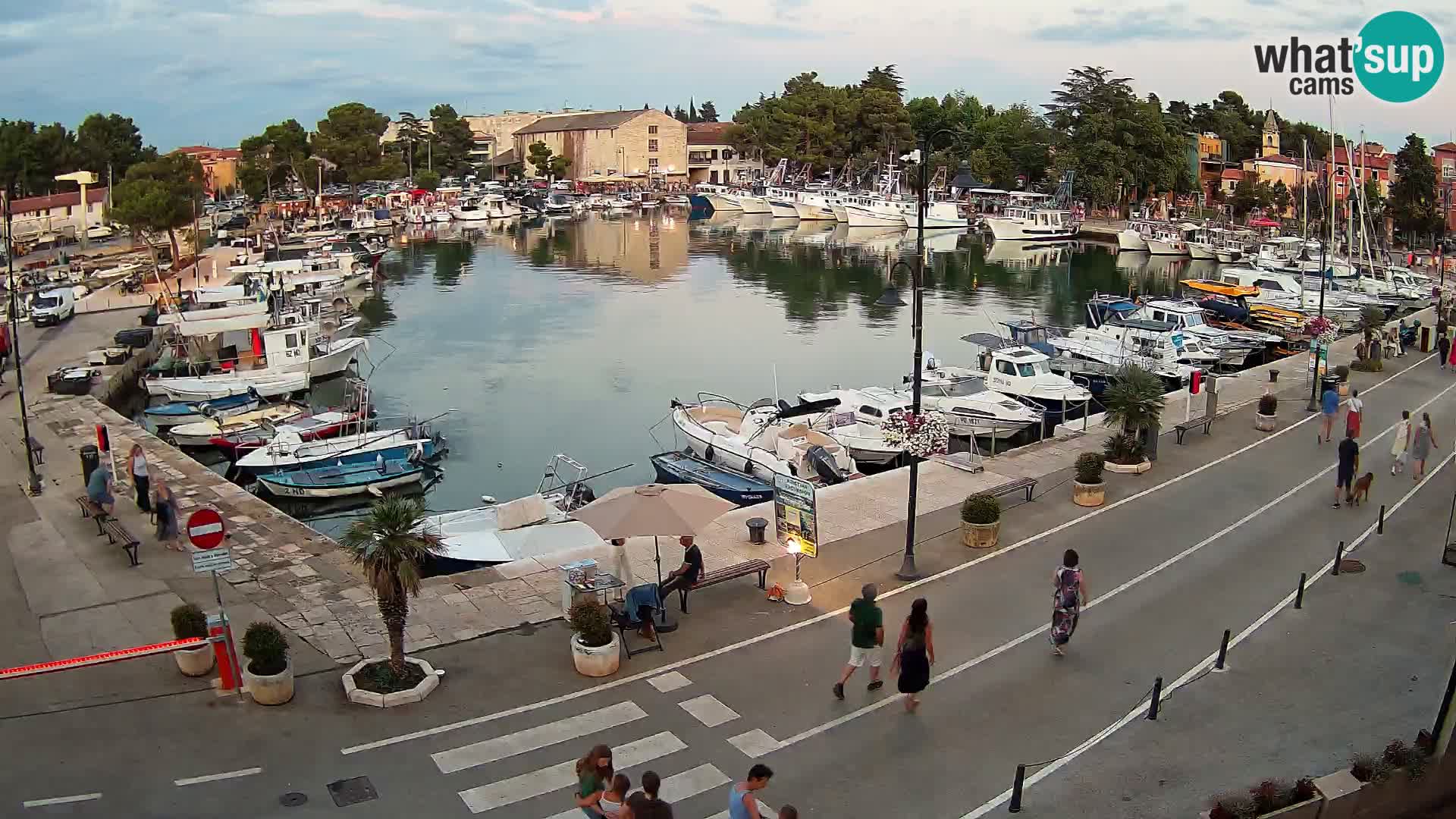 Novigrad kamera Mandrač – Istra