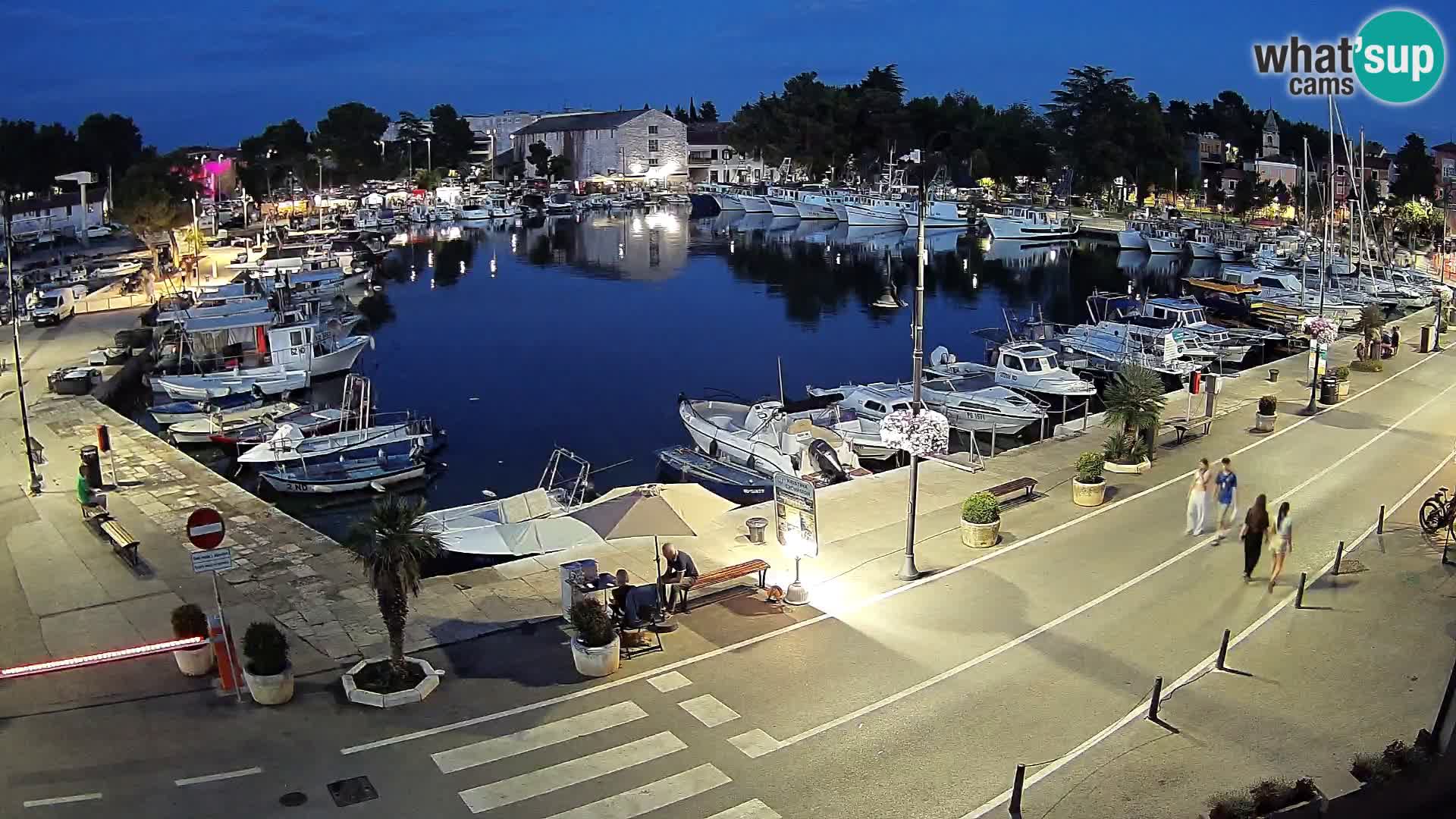Novigrad webcam Mandrač | Cittanova in Istria – Porto vecchio