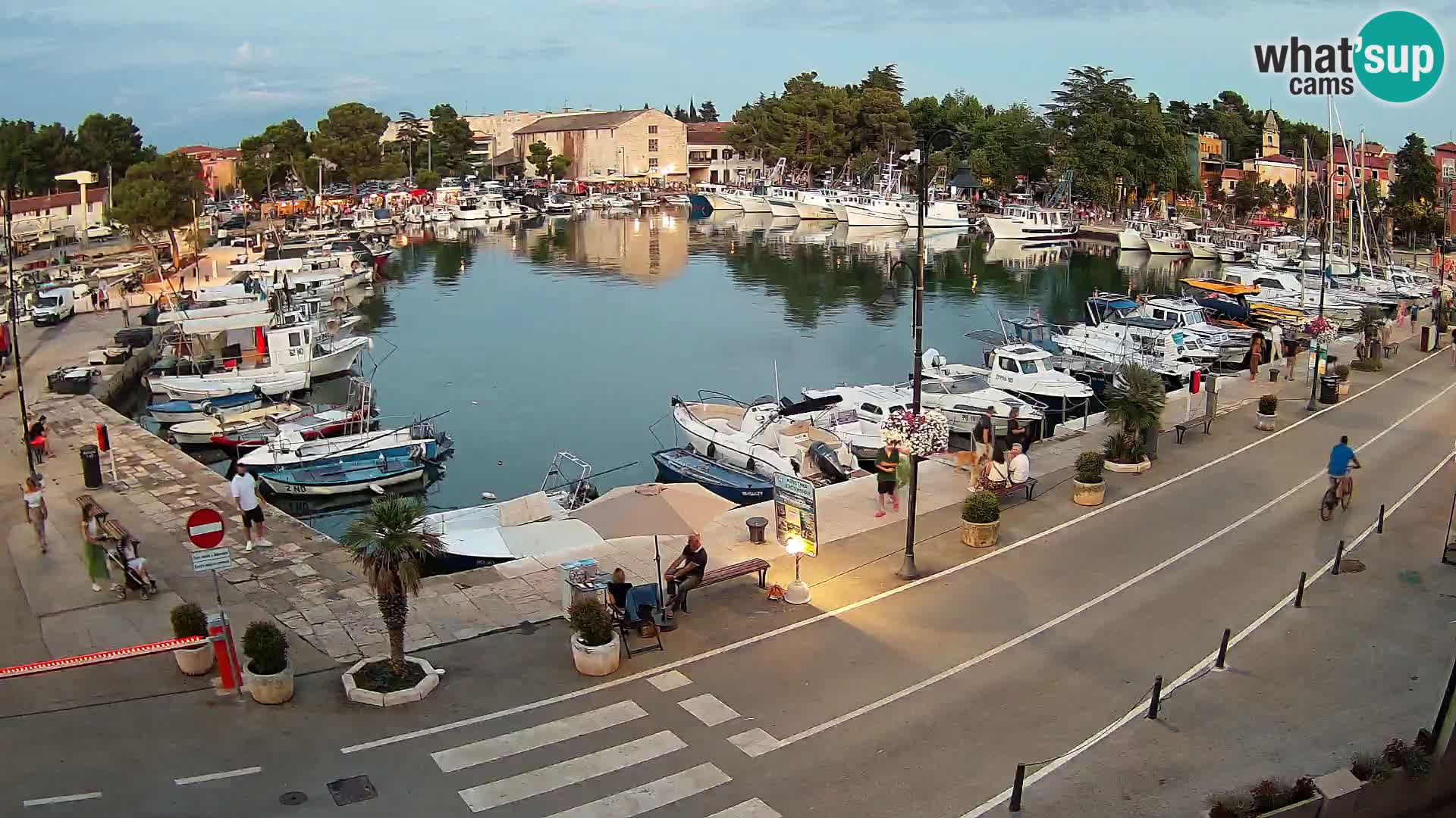 Novigrad kamera Mandrač – Istra