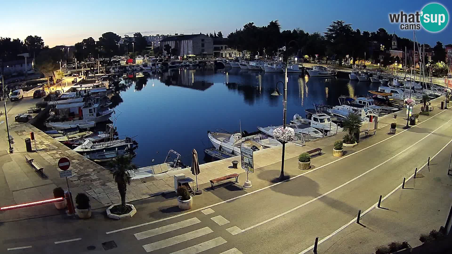 Novigrad kamera Mandrač – Istra