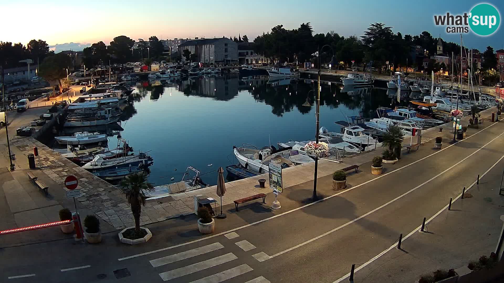 Novigrad webcam Mandrač | alten Hafen – Istrien