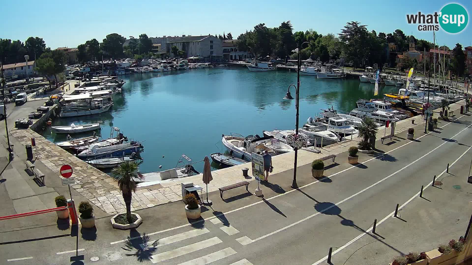 Novigrad webcam Mandrač | Cittanova in Istria – Porto vecchio