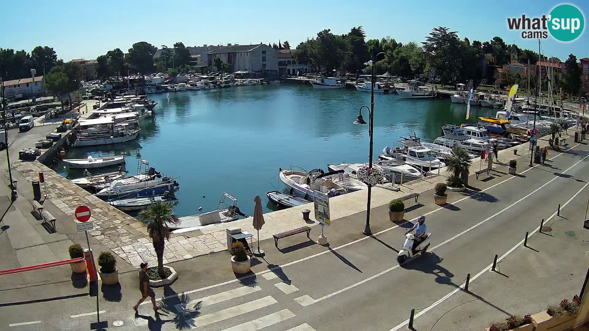 Novigrad webcam Mandrač | Cittanova in Istria – Porto vecchio