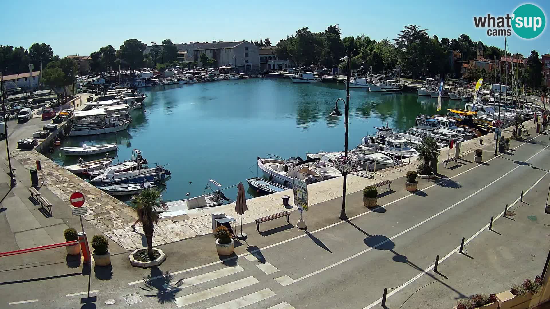 Novigrad webcam Mandrač | alten Hafen – Istrien