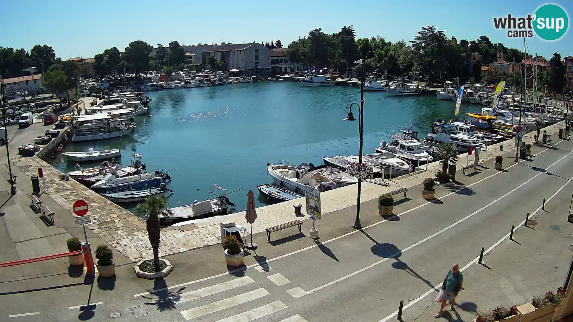 Novigrad webcam Mandrač | alten Hafen – Istrien