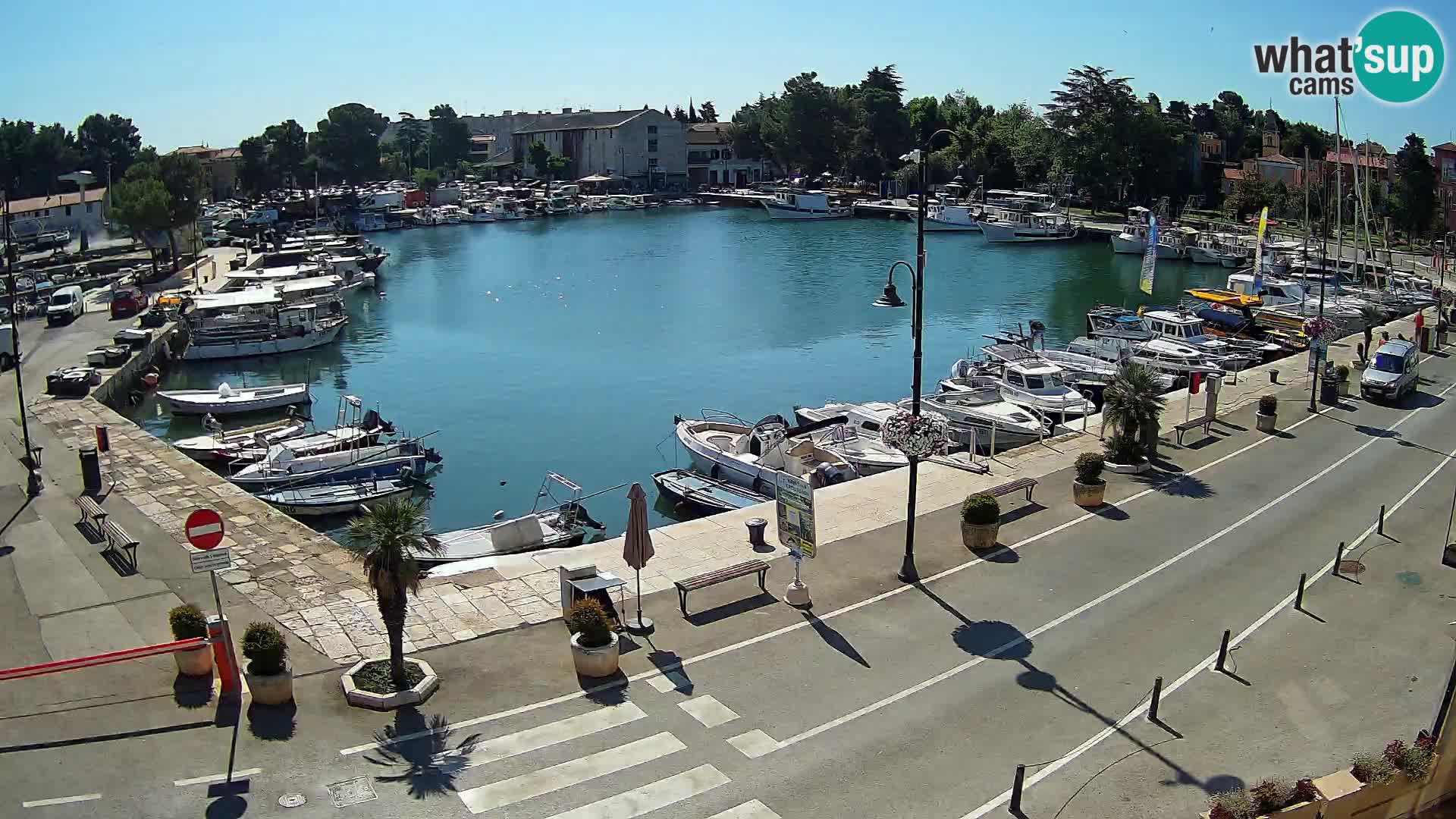 Novigrad webcam Mandrač | alten Hafen – Istrien