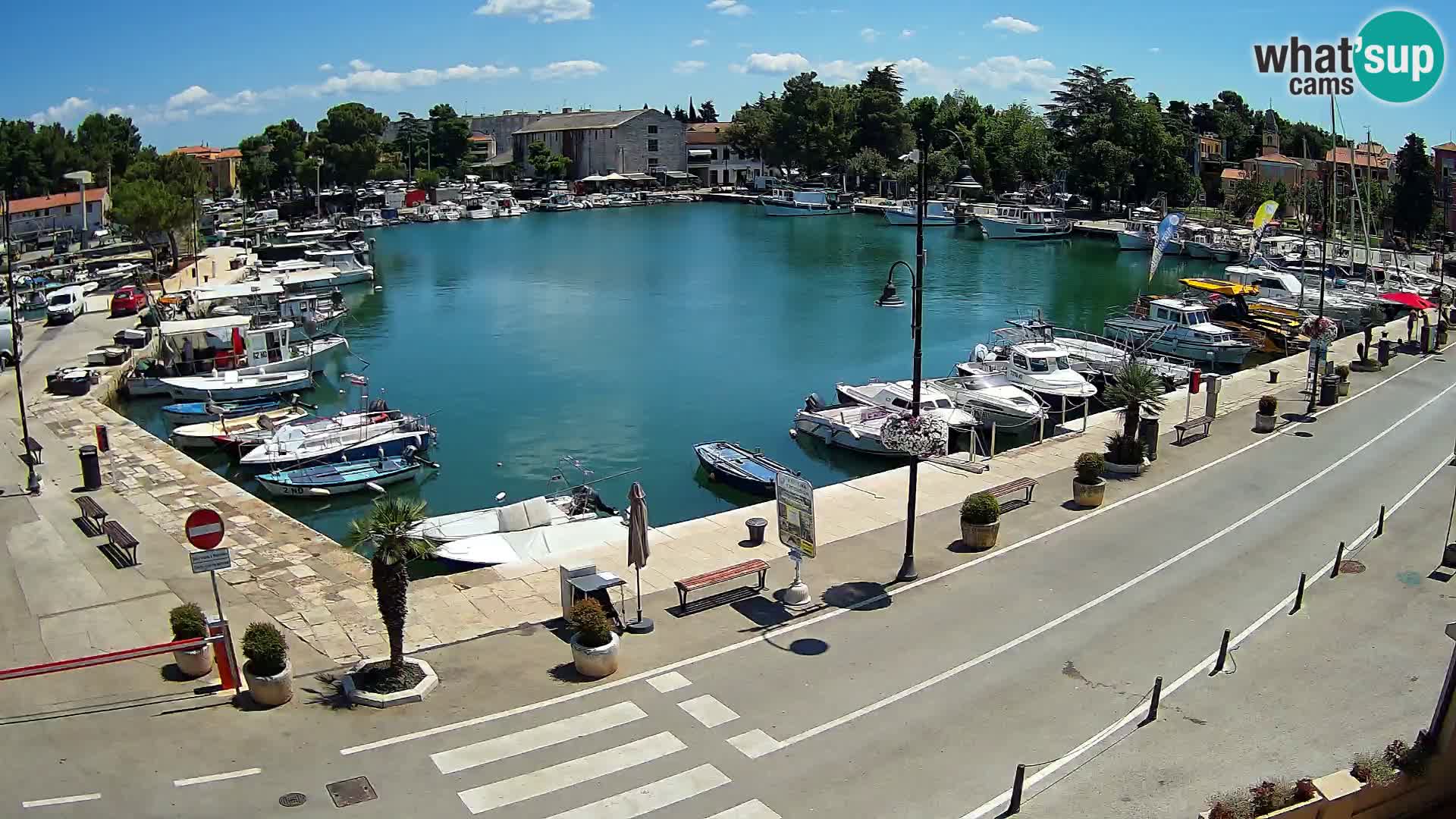 Novigrad kamera Mandrač – Istra