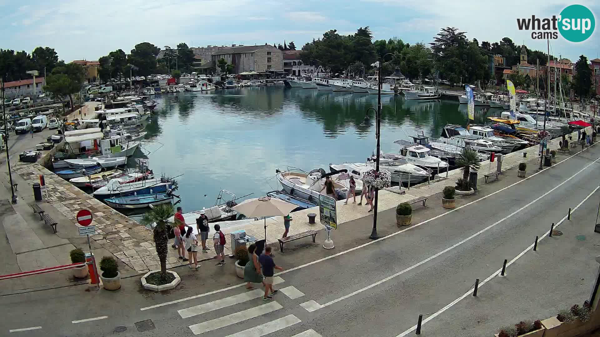 Novigrad kamera Mandrač – Istra