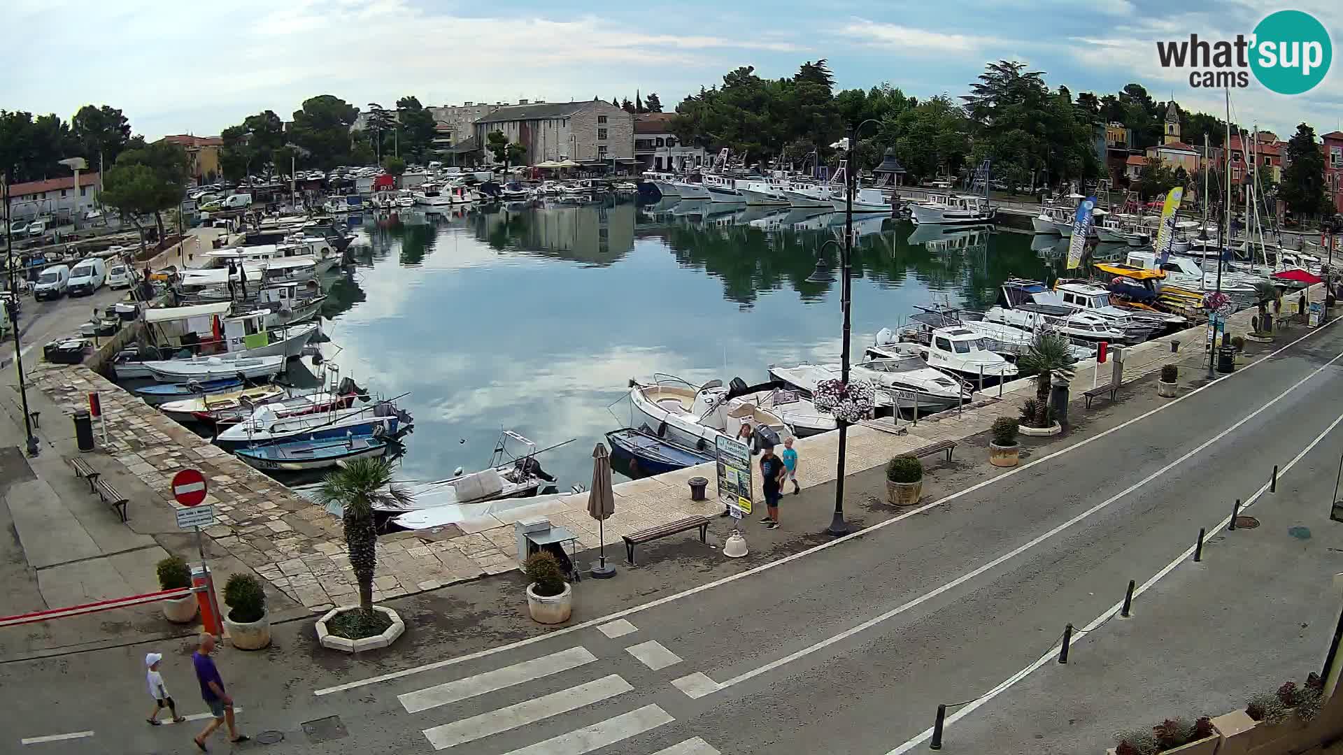 Novigrad webcam Mandrač | Cittanova in Istria – Porto vecchio