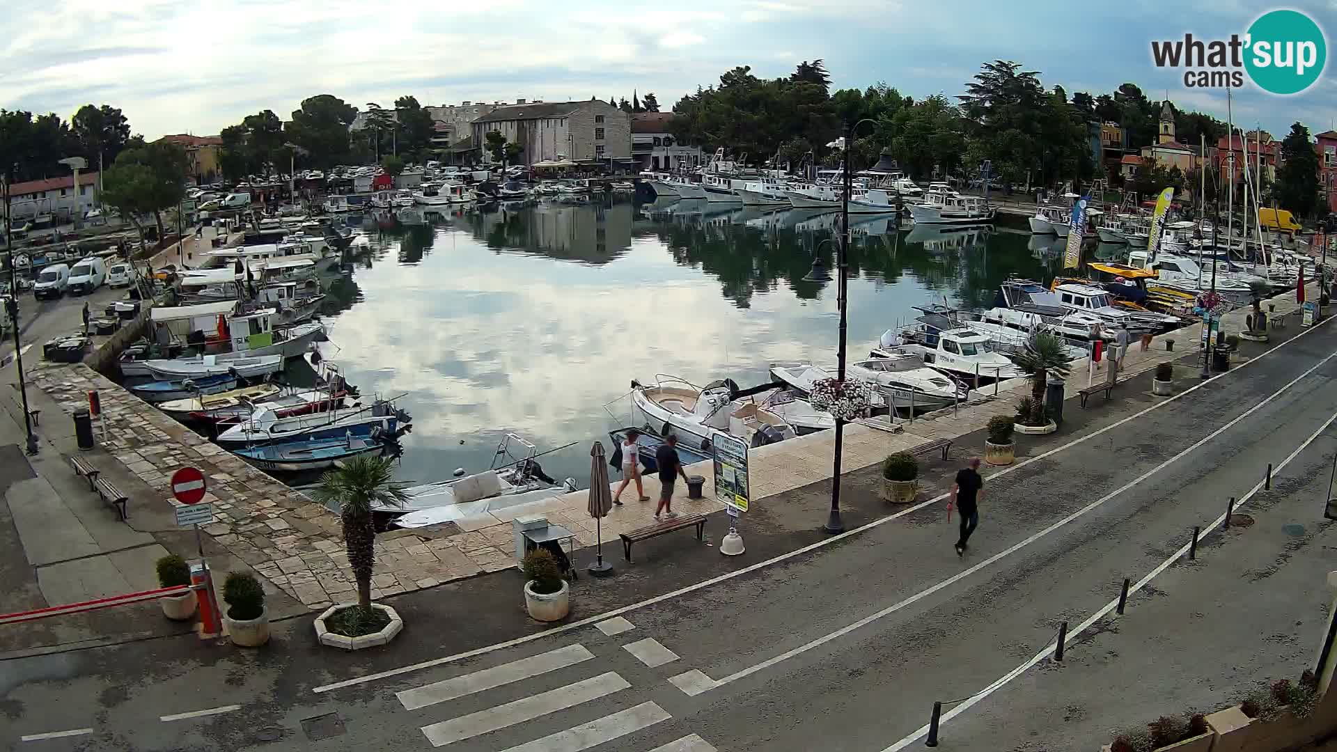 Novigrad kamera Mandrač – Istra