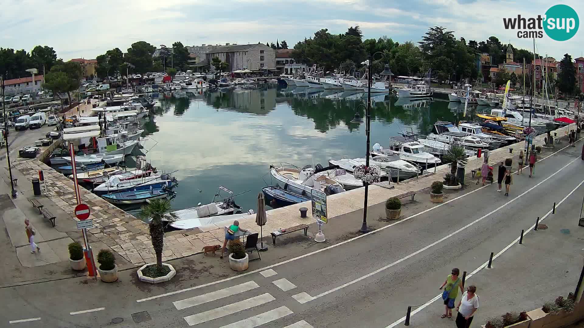 Novigrad webcam Mandrač | Cittanova in Istria – Porto vecchio