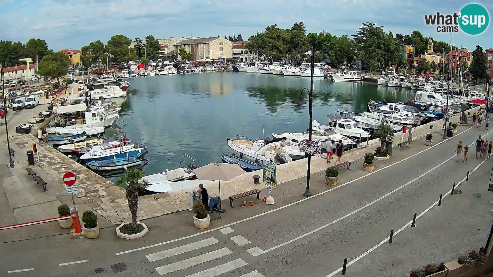 Novigrad –  Mandrač