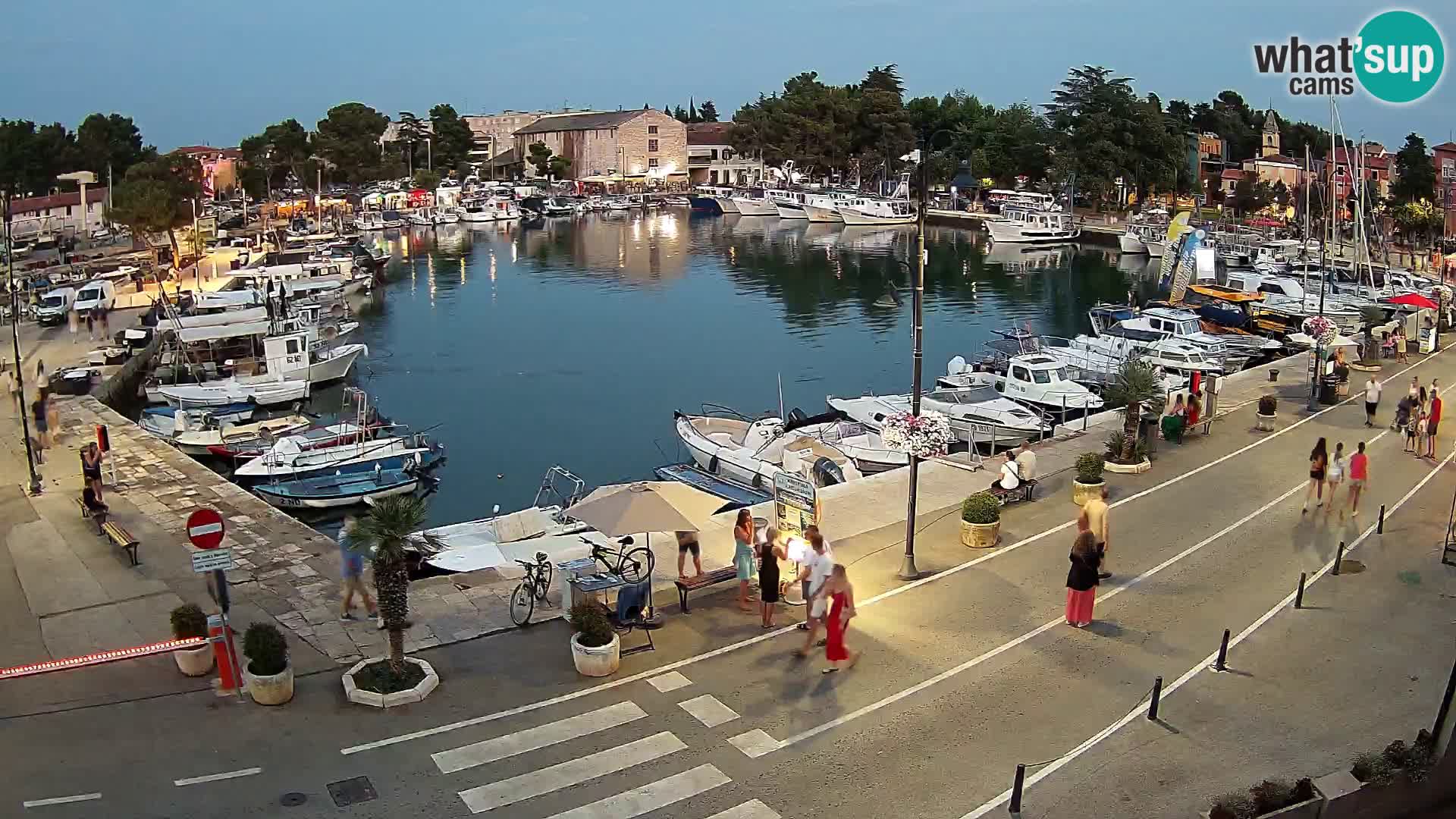 Novigrad webcam Mandrač | alten Hafen – Istrien