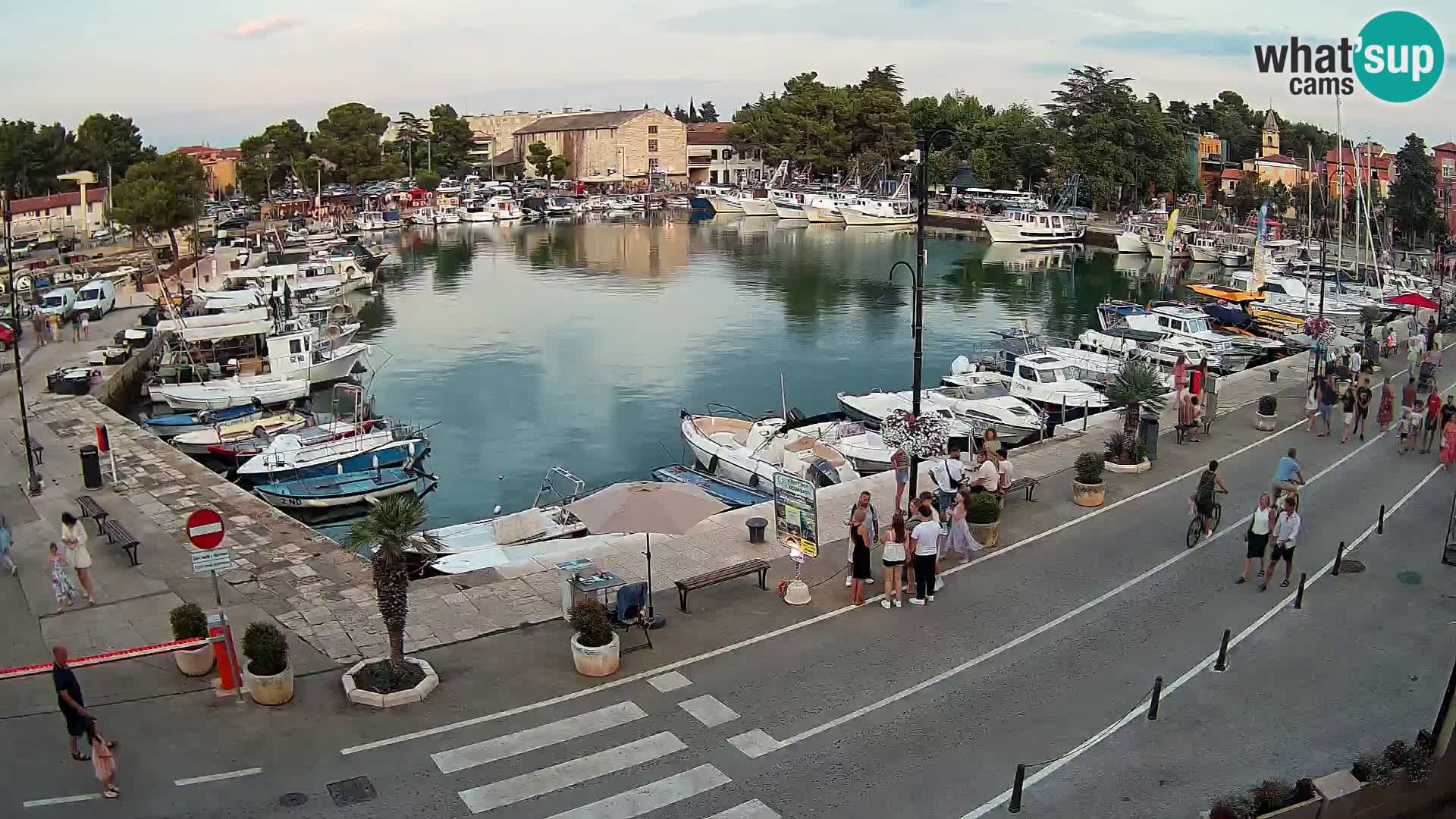 Novigrad webcam Mandrač | Cittanova in Istria – Porto vecchio