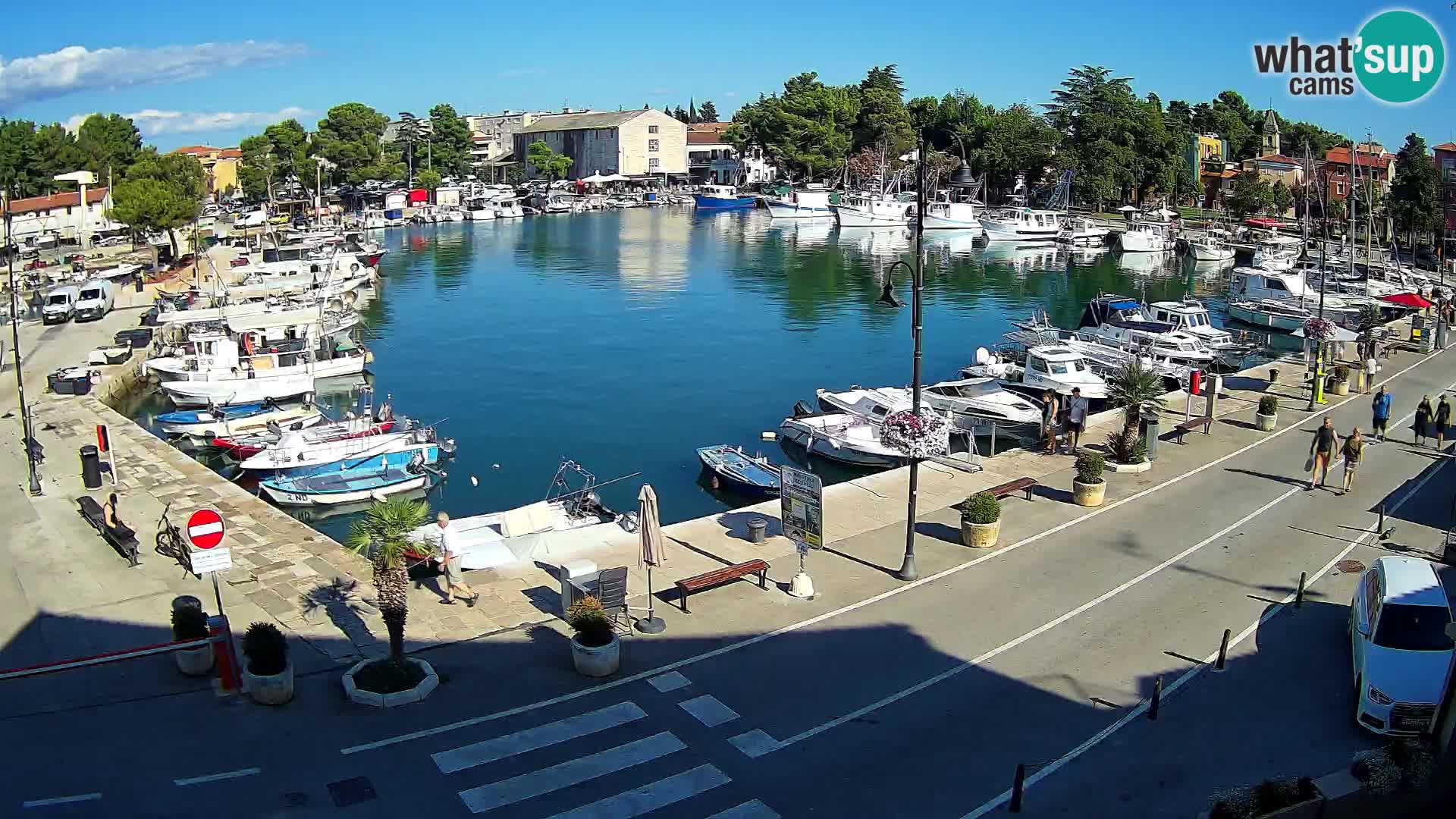 Novigrad –  Mandrač