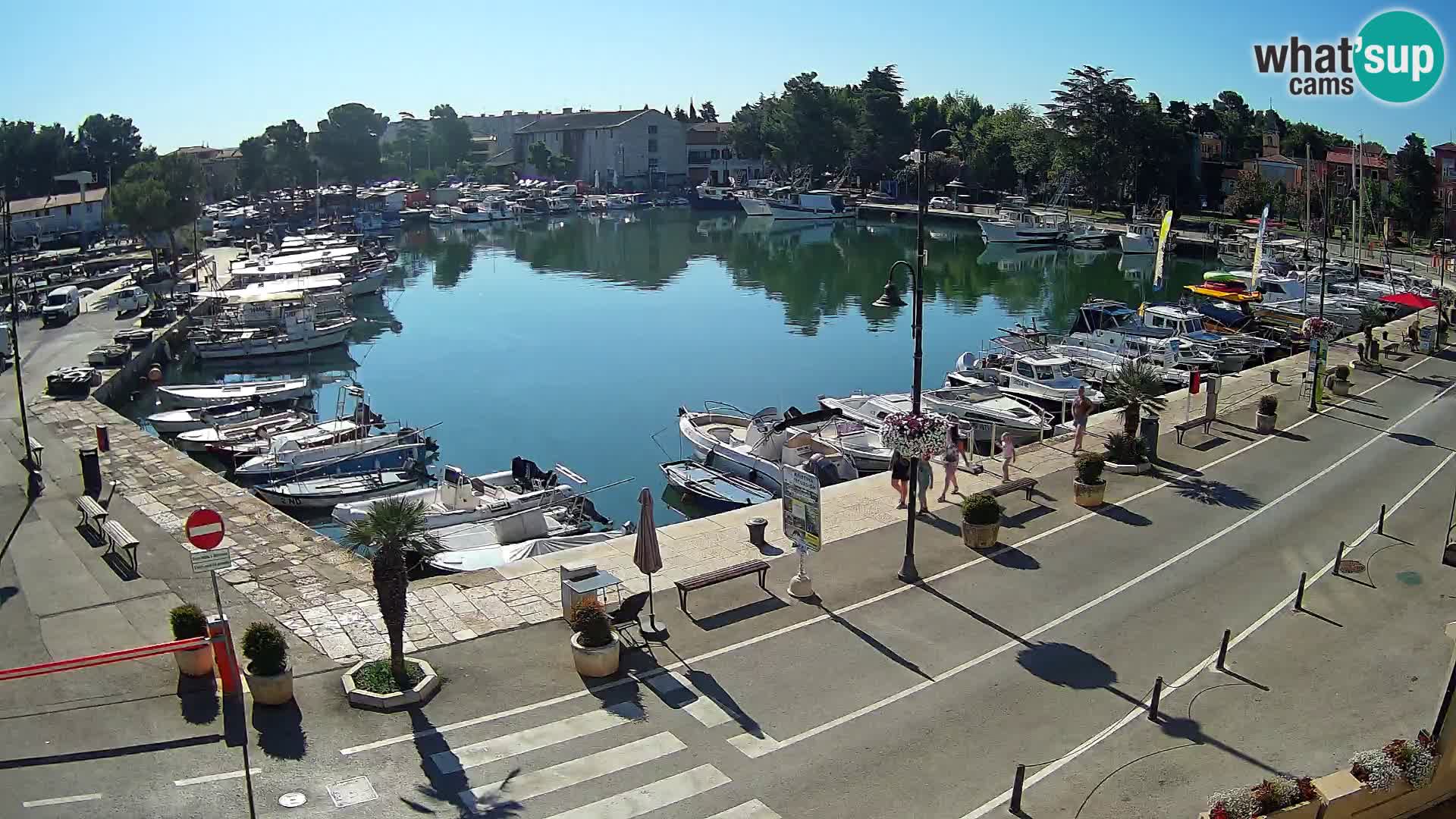 Novigrad webcam Mandrač | Cittanova in Istria – Porto vecchio