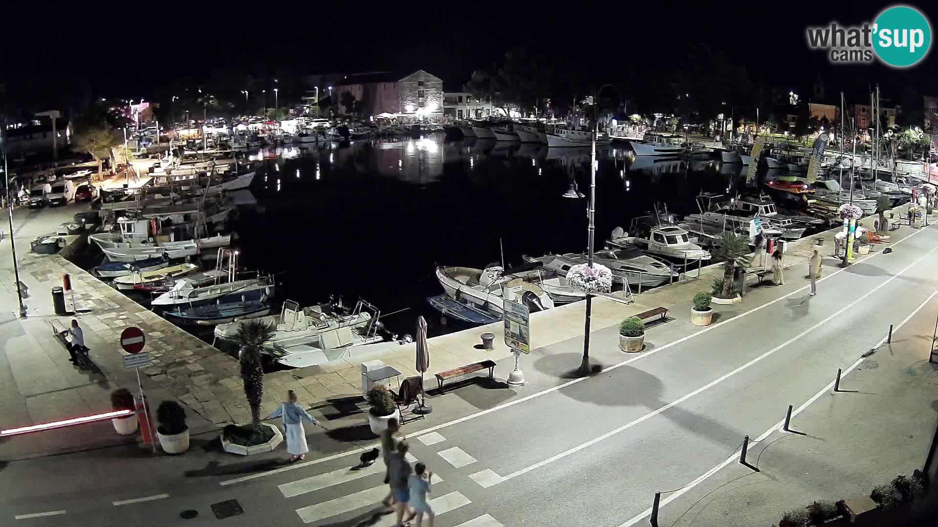 Novigrad webcam Mandrač | Cittanova in Istria – Porto vecchio