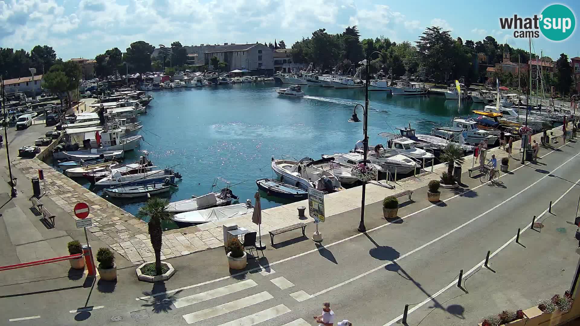 Novigrad kamera Mandrač – Istra