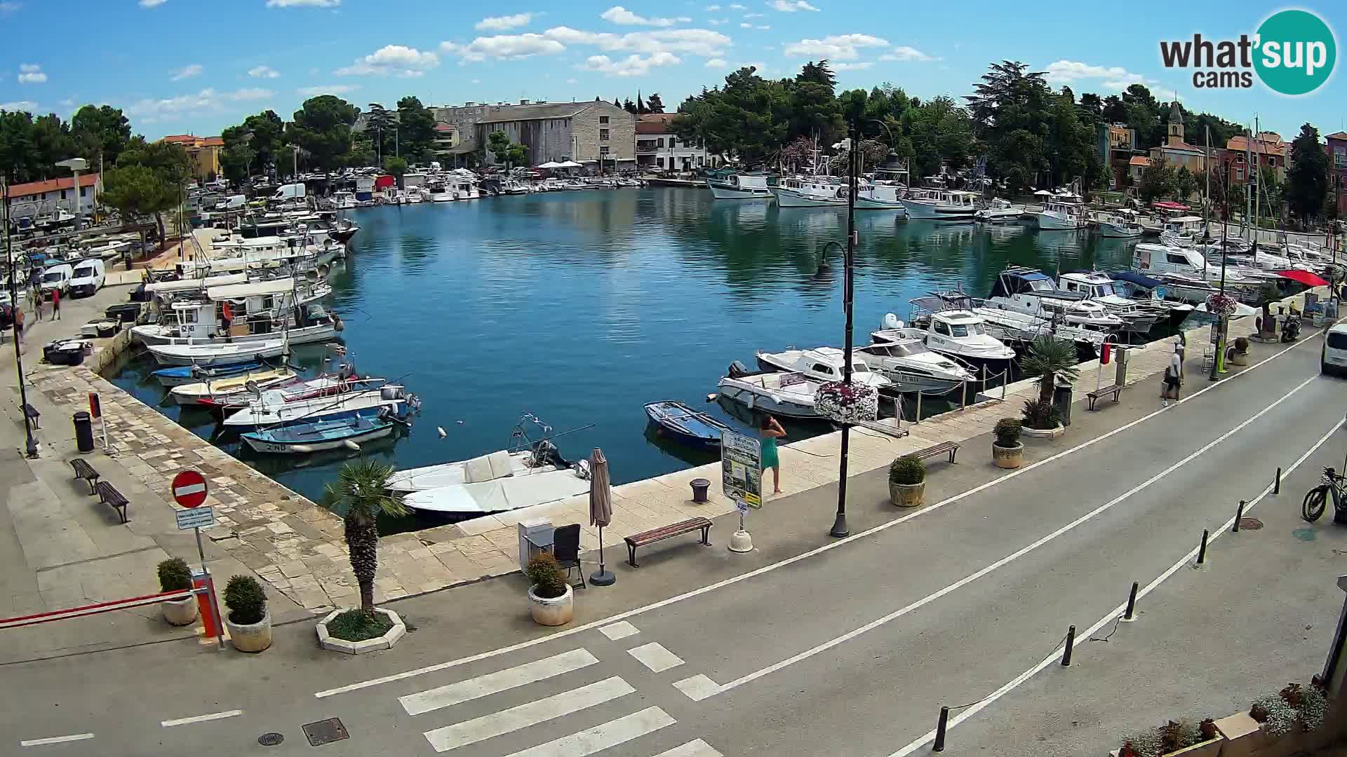 Novigrad webcam Mandrač | alten Hafen – Istrien