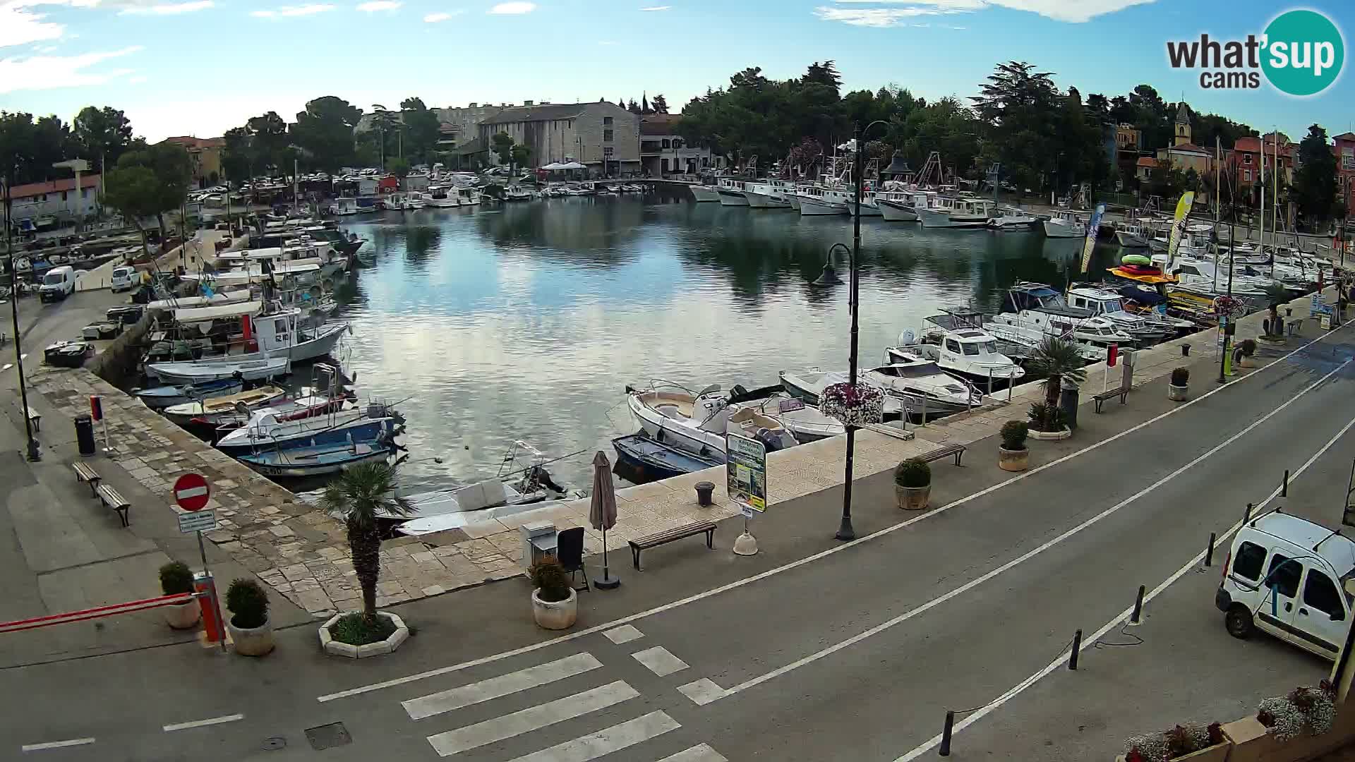 Novigrad webcam Mandrač | Cittanova in Istria – Porto vecchio
