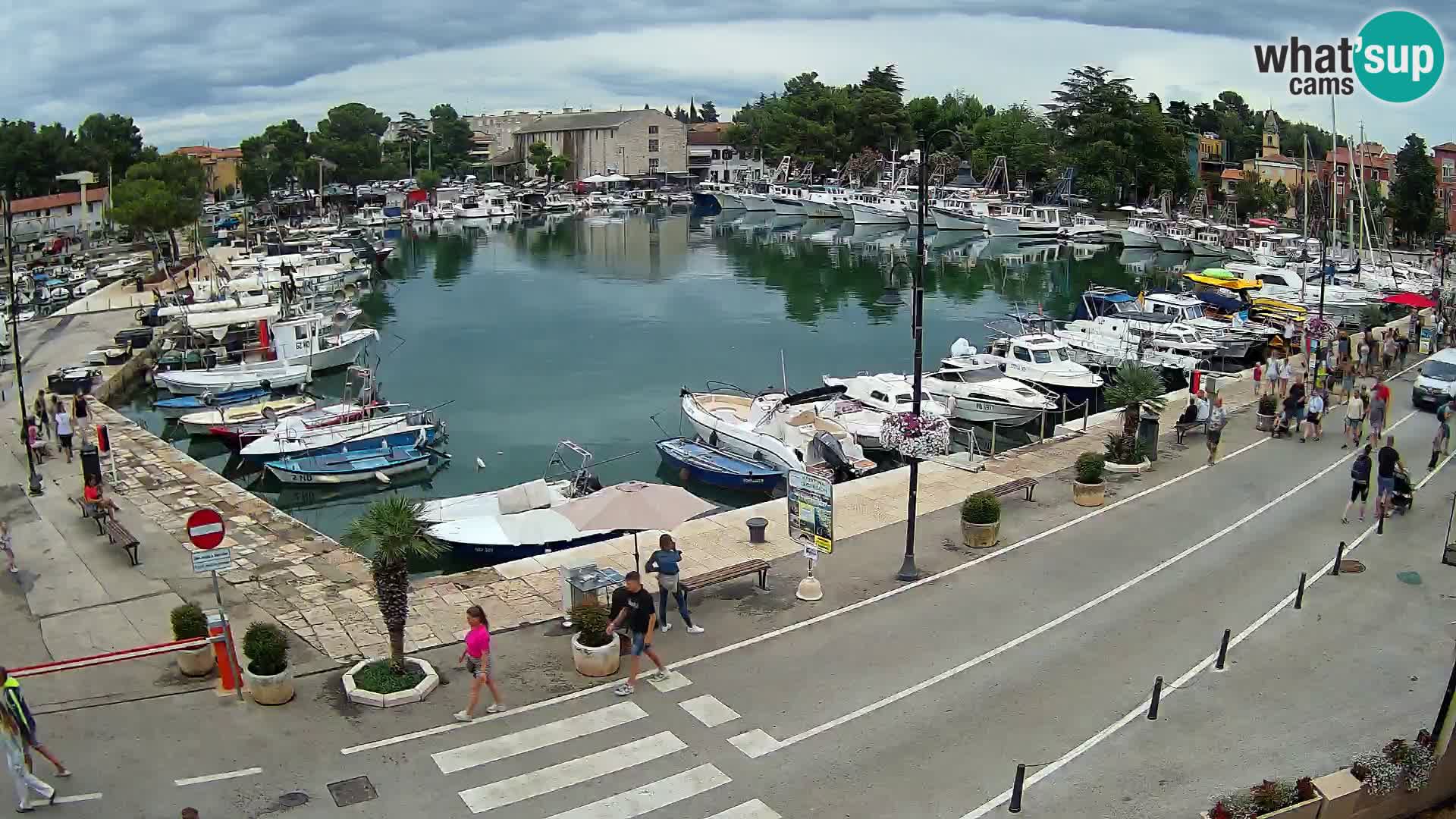 Novigrad webcam Mandrač | Cittanova in Istria – Porto vecchio