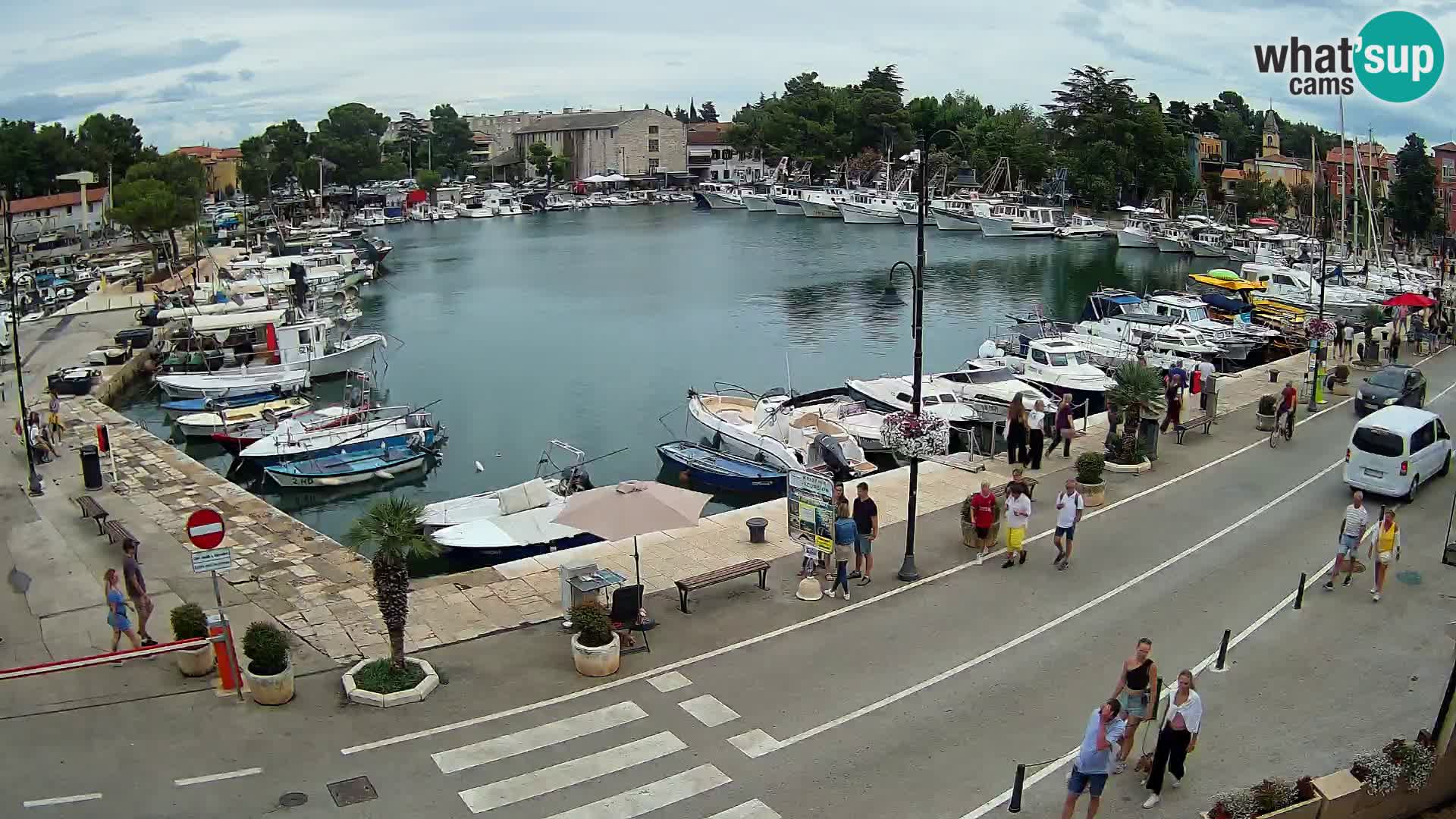 Novigrad webcam Mandrač | Cittanova in Istria – Porto vecchio