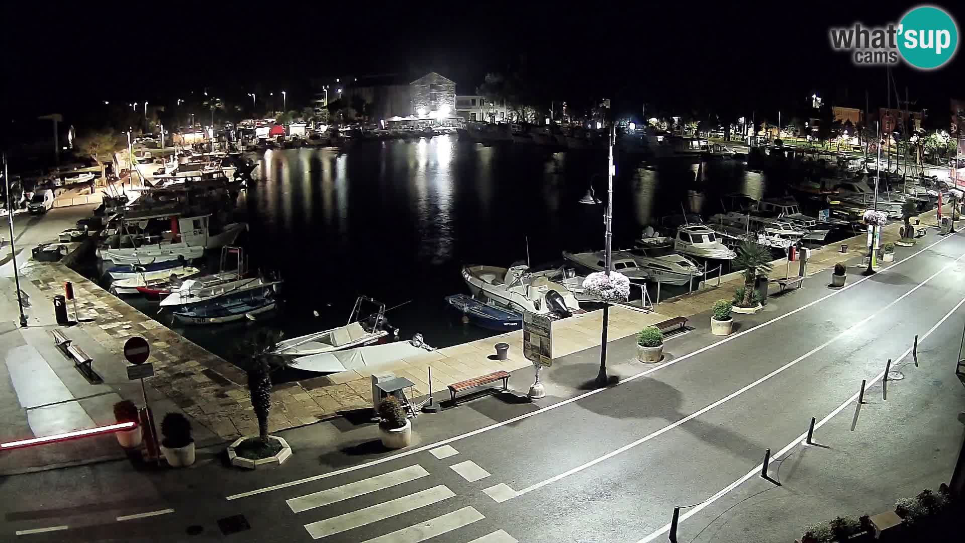 Novigrad webcam Mandrač | Cittanova in Istria – Porto vecchio