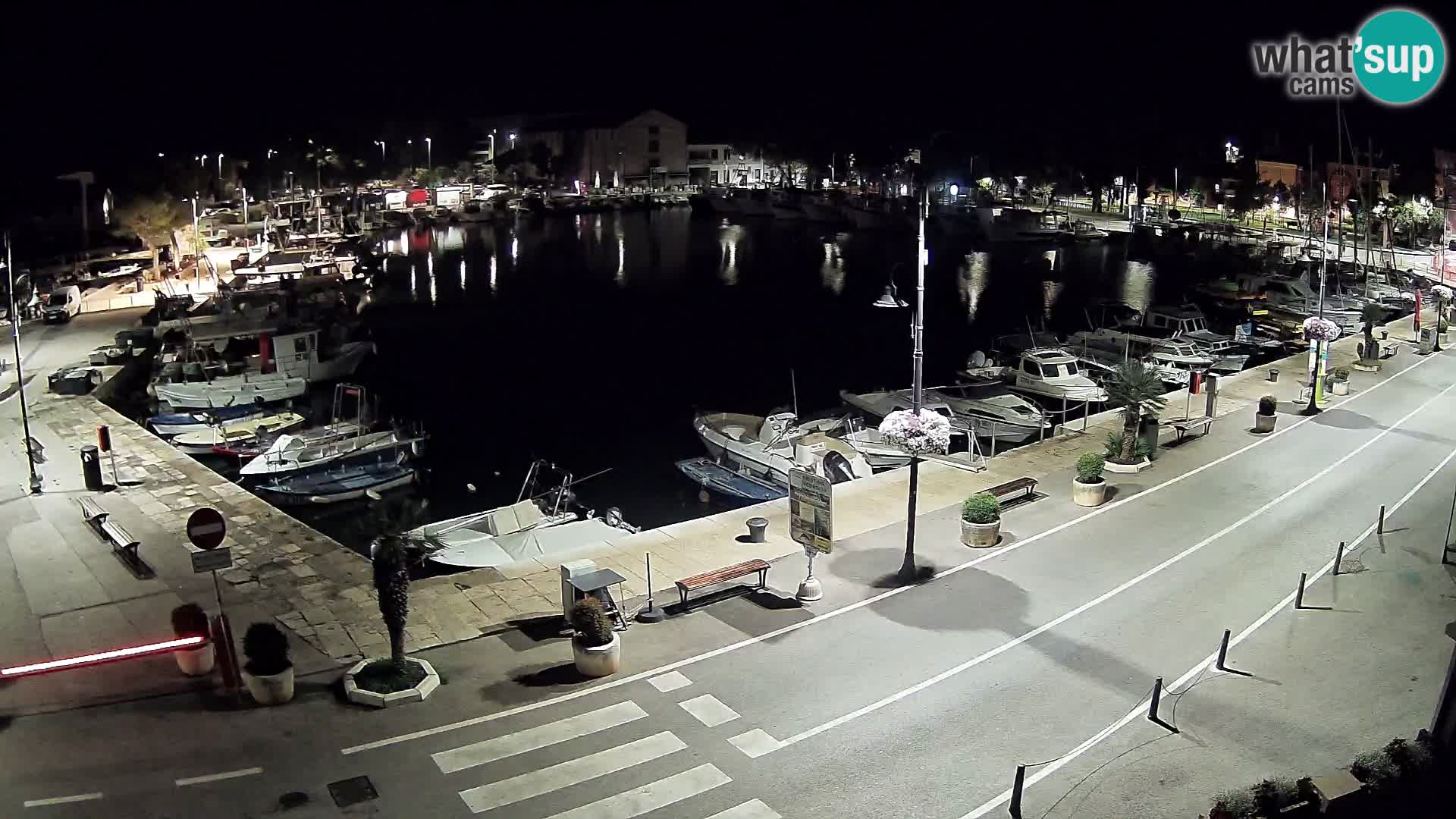 Novigrad webcam Mandrač | Cittanova in Istria – Porto vecchio