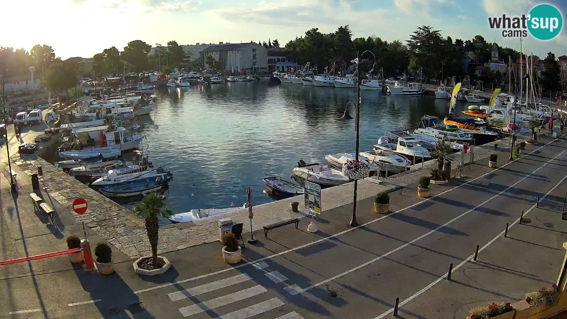 Novigrad kamera Mandrač – Istra