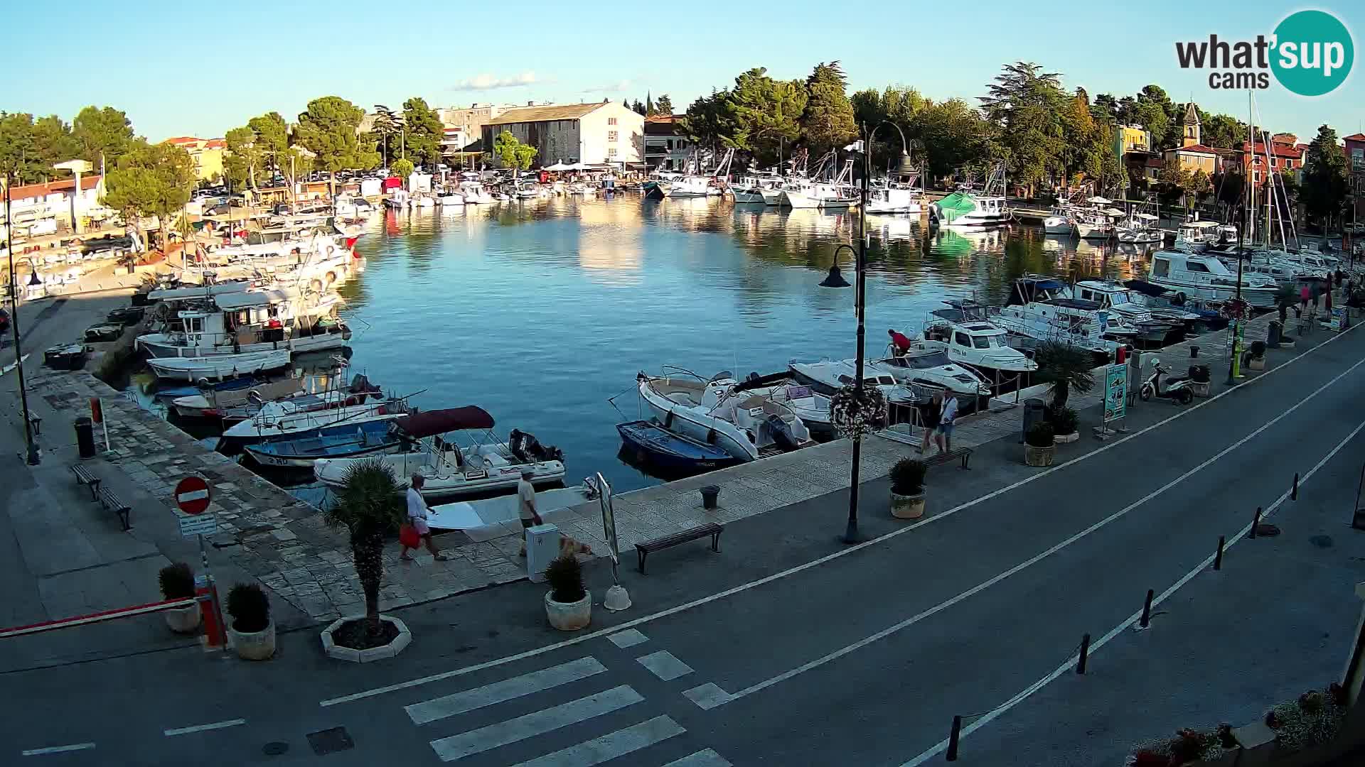 Novigrad webcam Mandrač | old marina – Istria