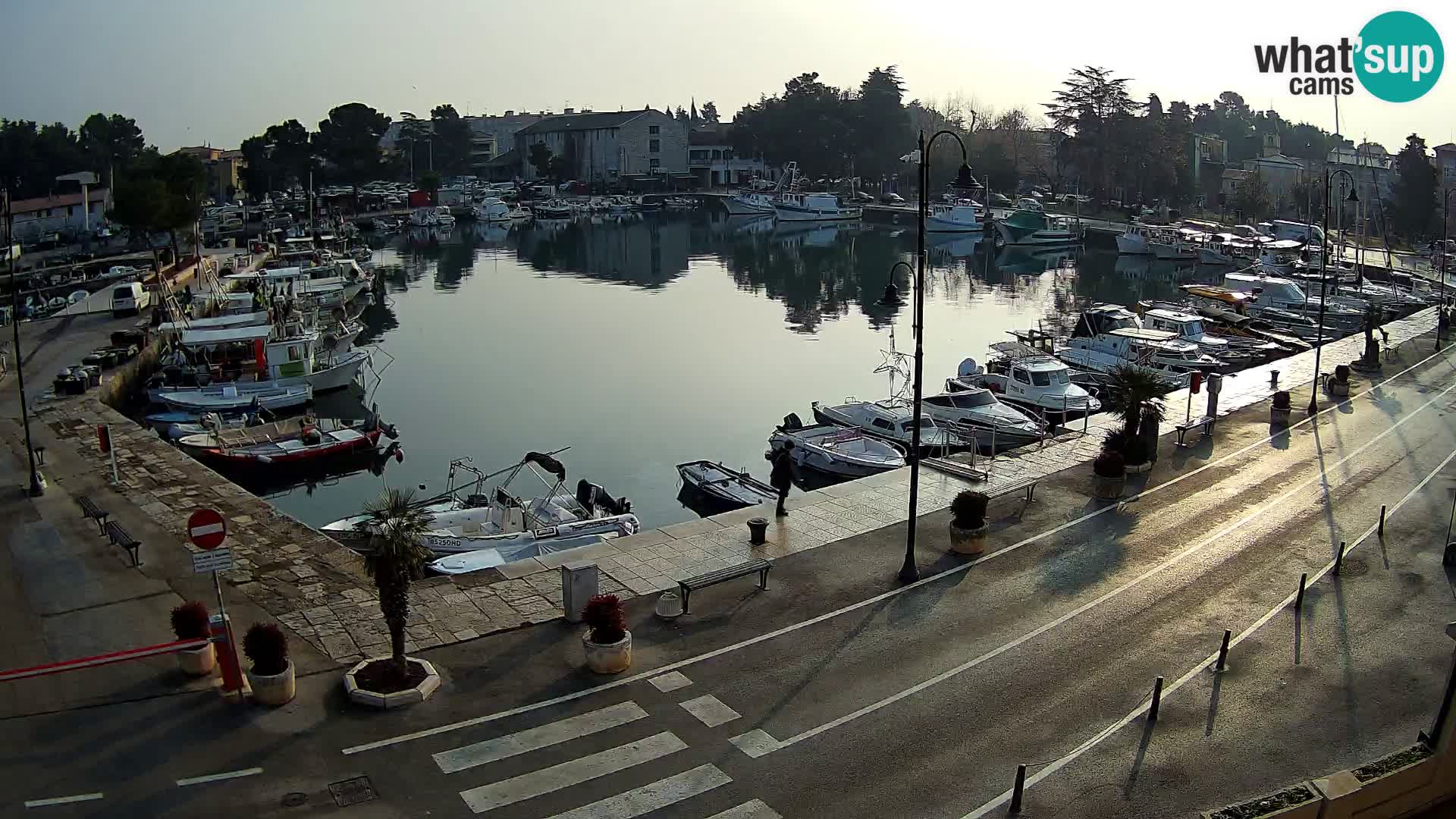 Novigrad webcam Mandrač | Cittanova in Istria – Porto vecchio