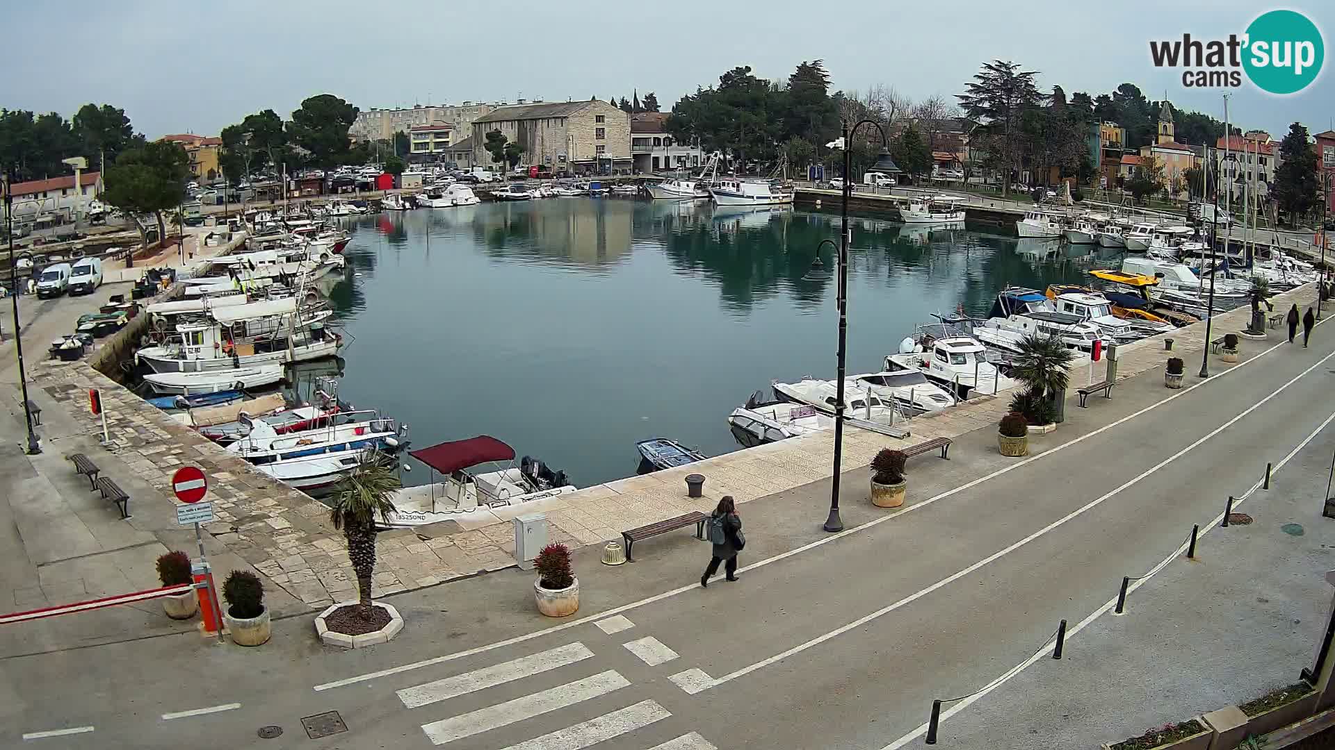 Novigrad webcam Mandrač | Cittanova in Istria – Porto vecchio