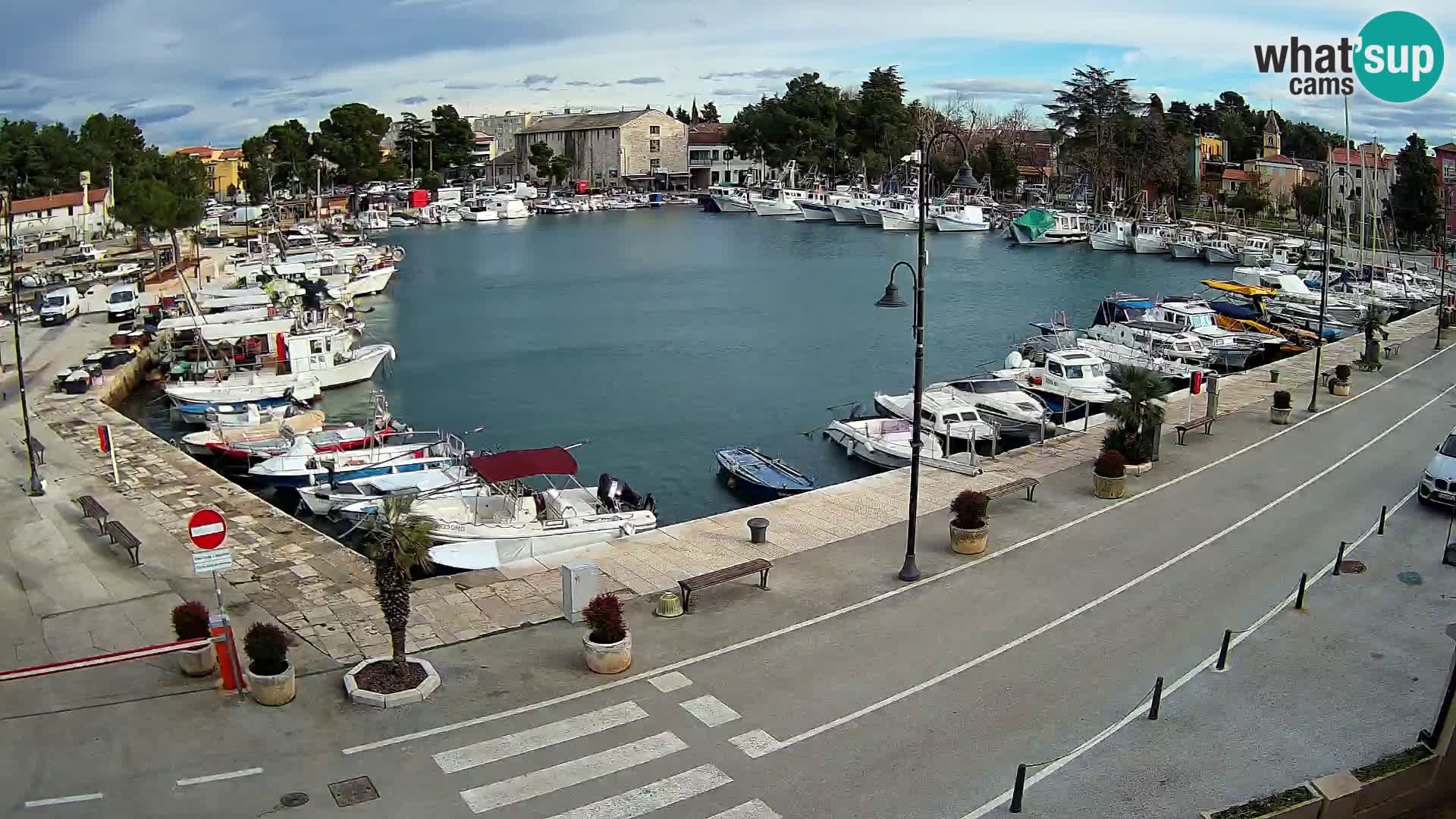 Novigrad webcam Mandrač | Cittanova in Istria – Porto vecchio