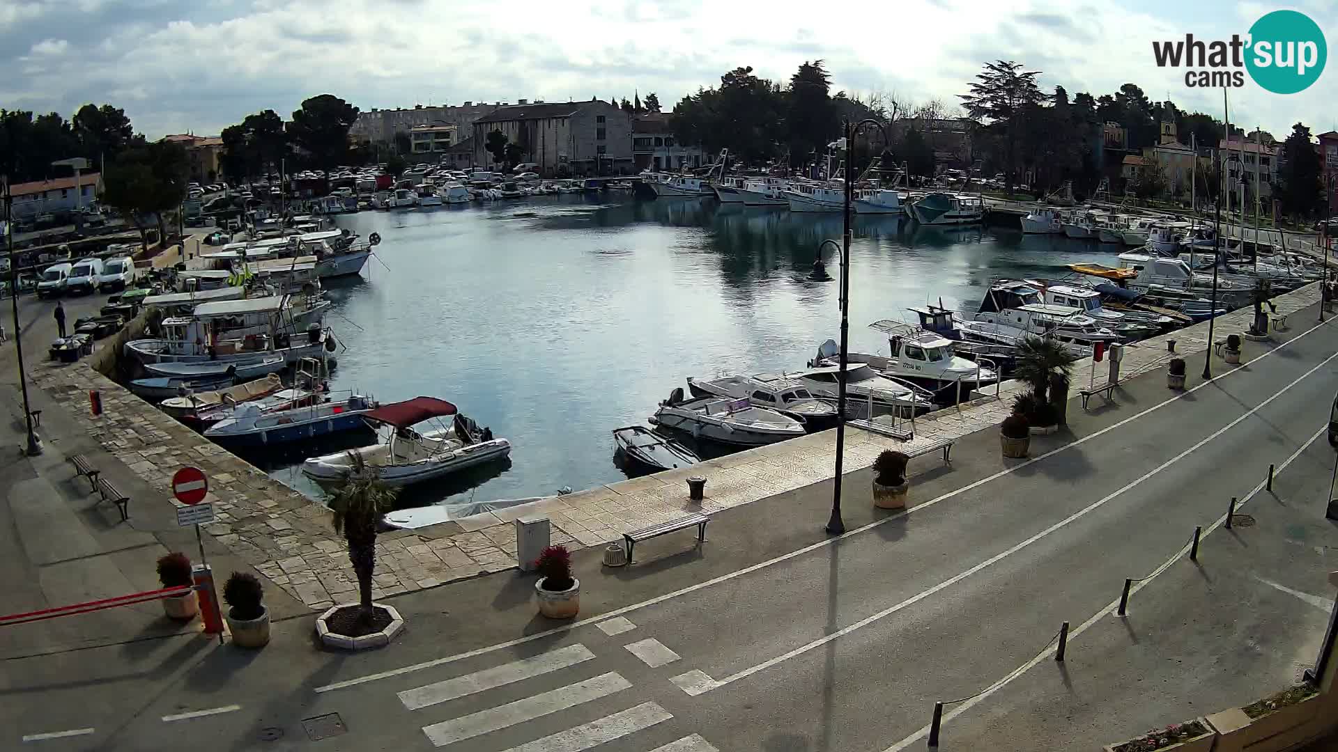 Novigrad webcam Mandrač | old marina – Istria