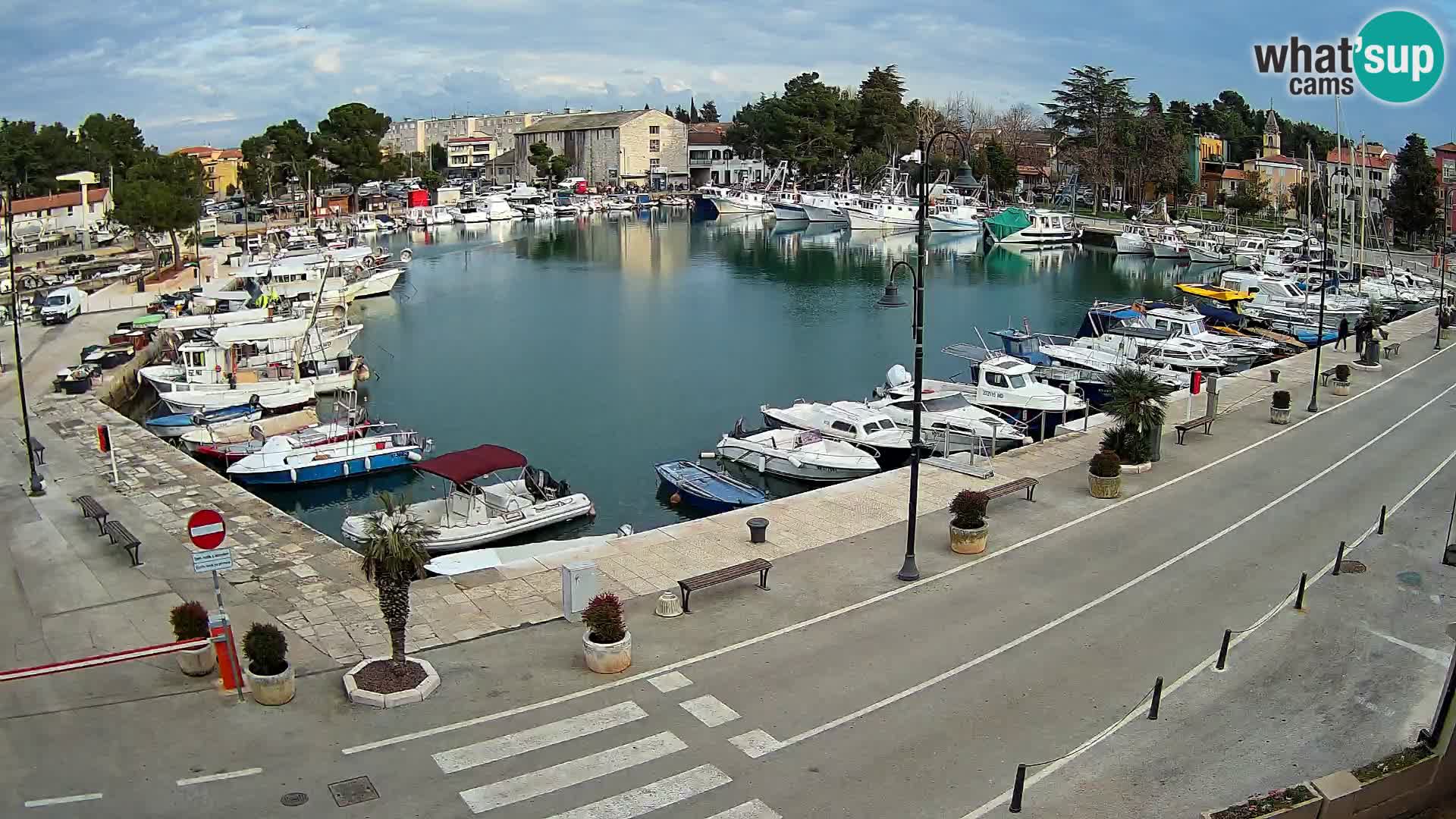 Novigrad webcam Mandrač | Cittanova in Istria – Porto vecchio